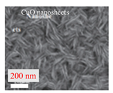 Inorganics 11 00484 i012