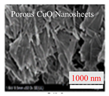 Inorganics 11 00484 i013