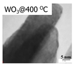 Inorganics 11 00484 i015