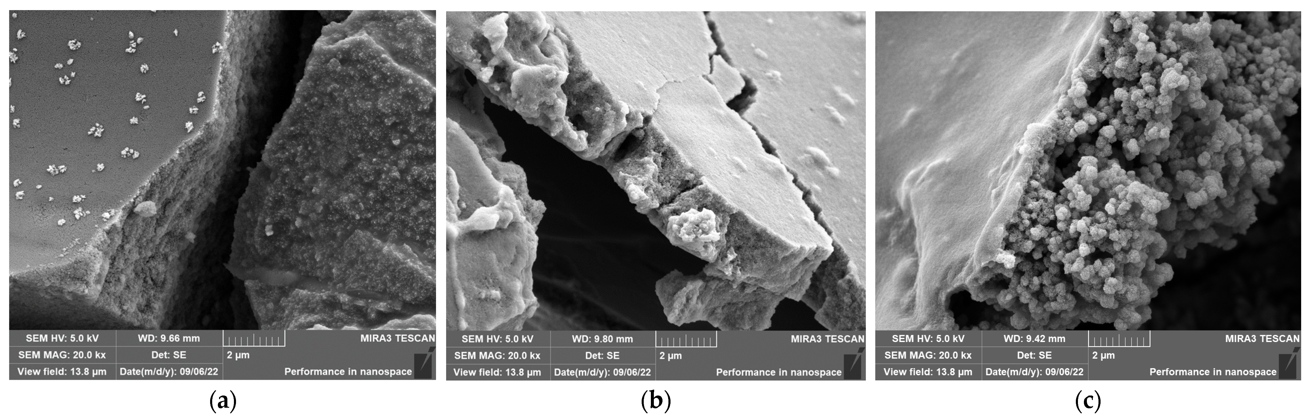 Inorganics 12 00009 g005a