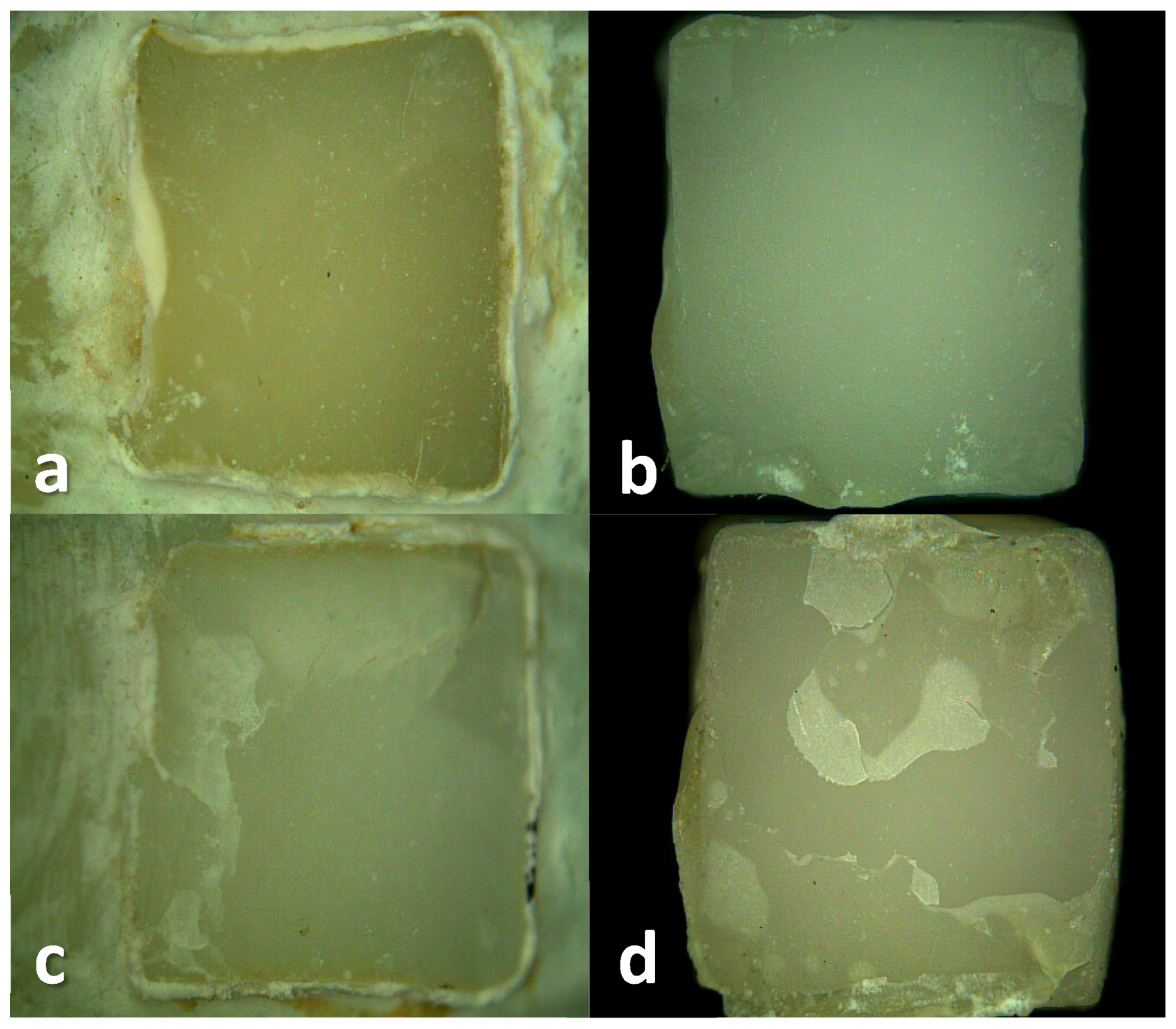 Inorganics 12 00014 g001