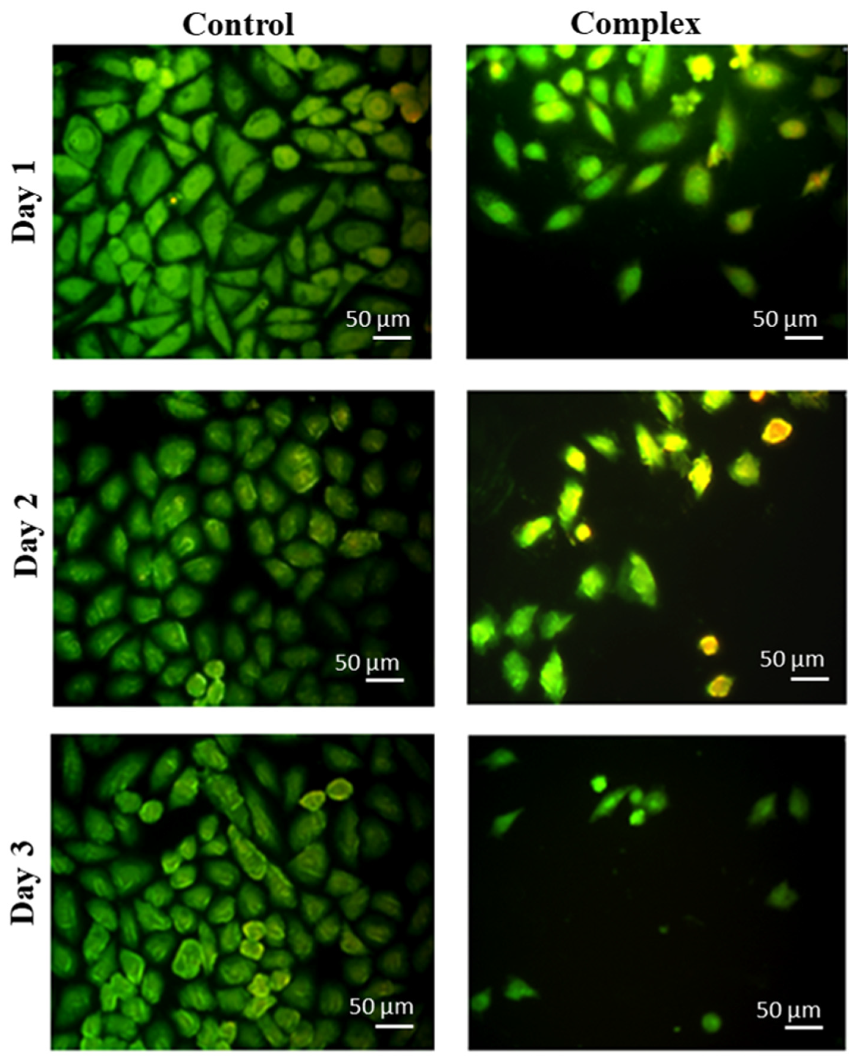 Inorganics 12 00019 g007