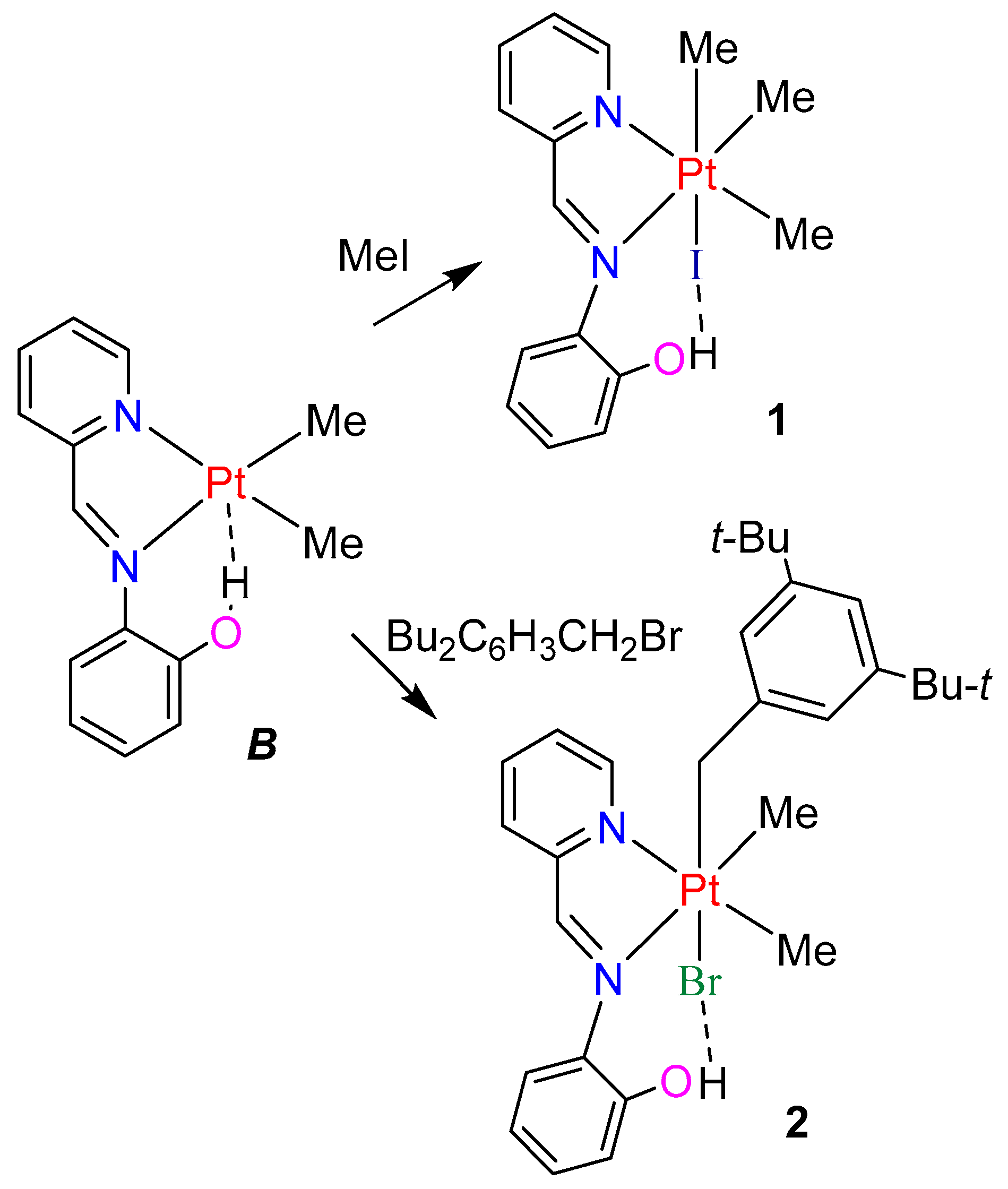 Inorganics 12 00032 sch003