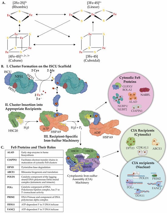 Inorganics 12 00034 g001