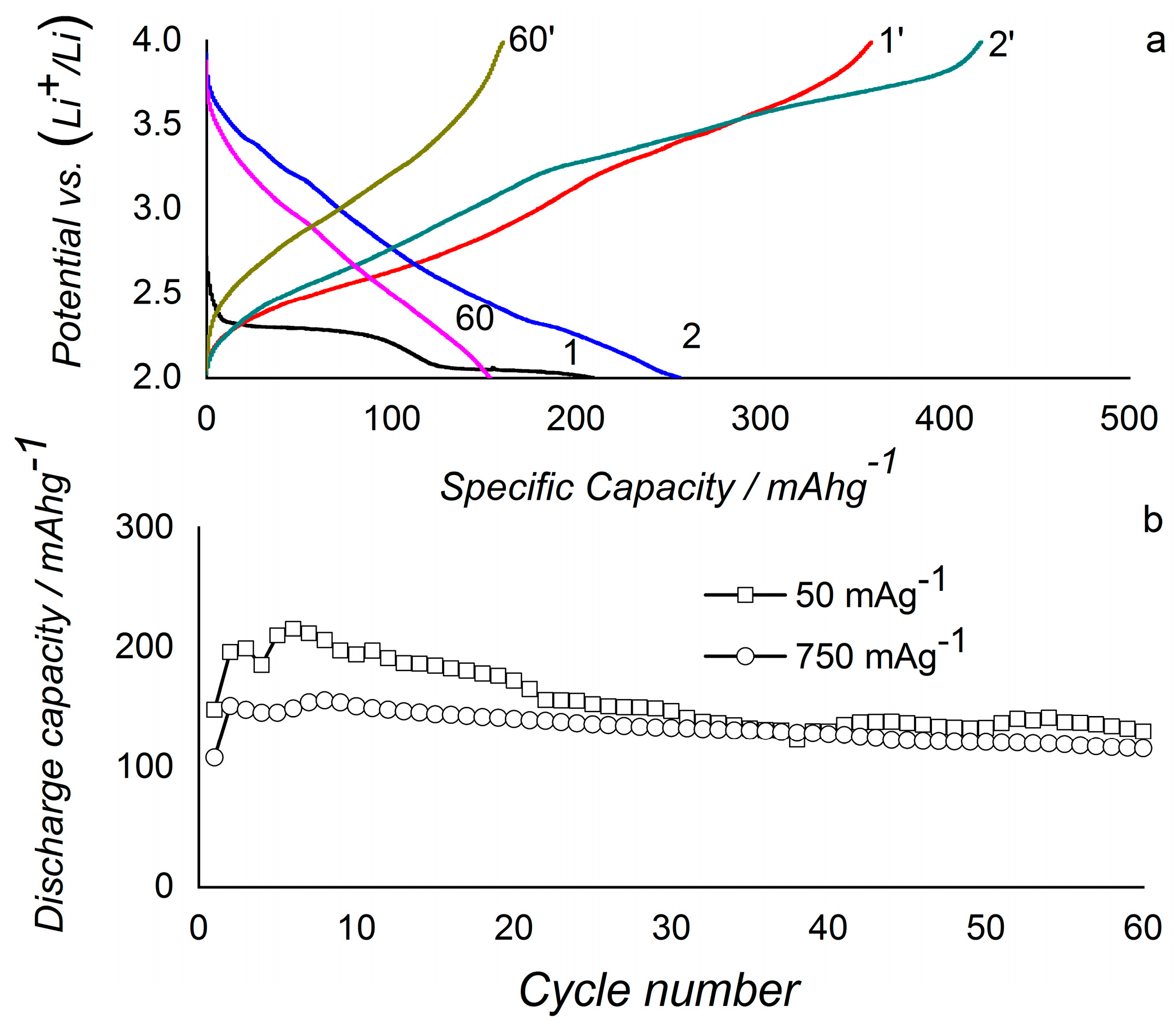 Inorganics 12 00037 g006