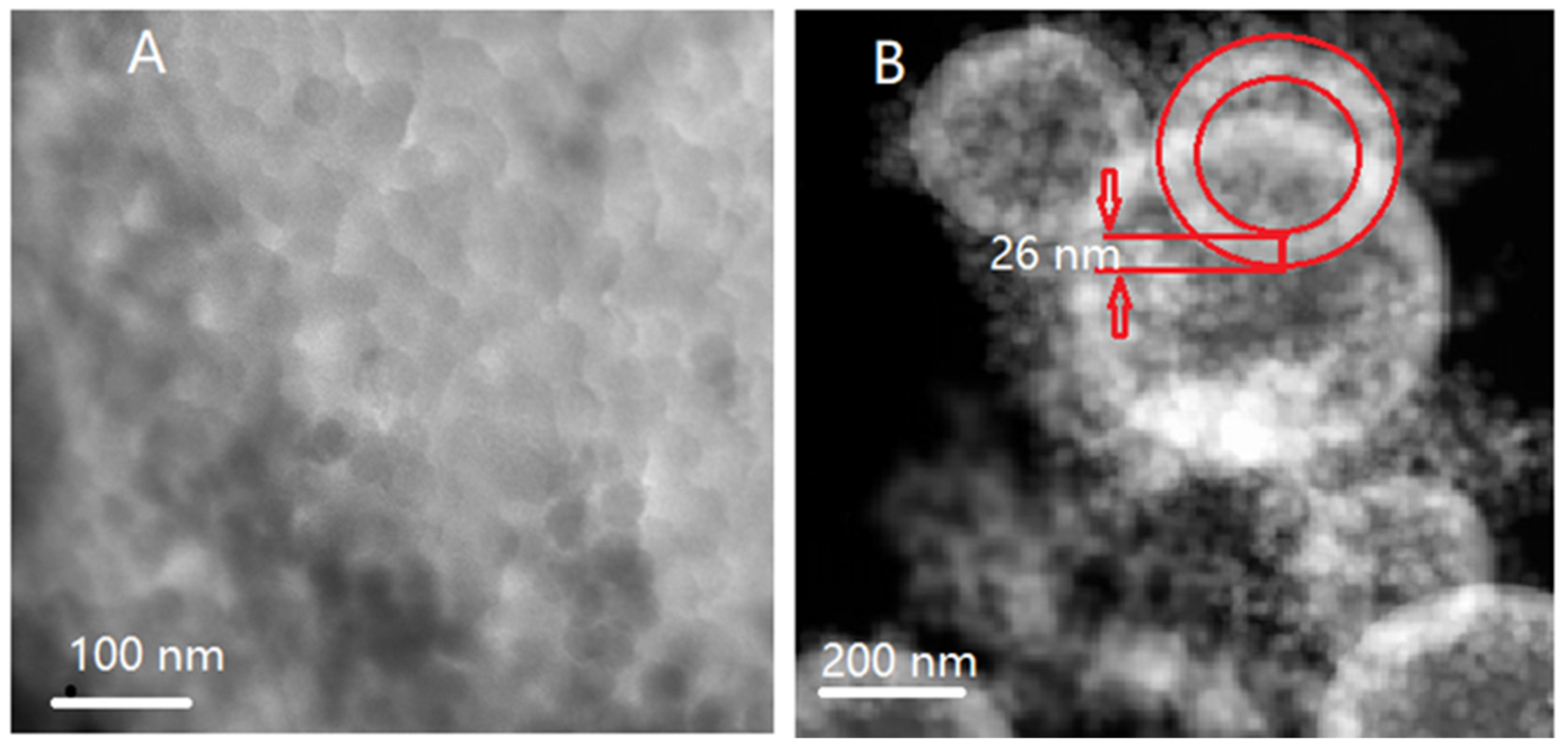 Inorganics 12 00051 g007