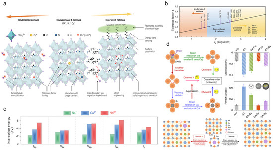 Inorganics 12 00052 g006