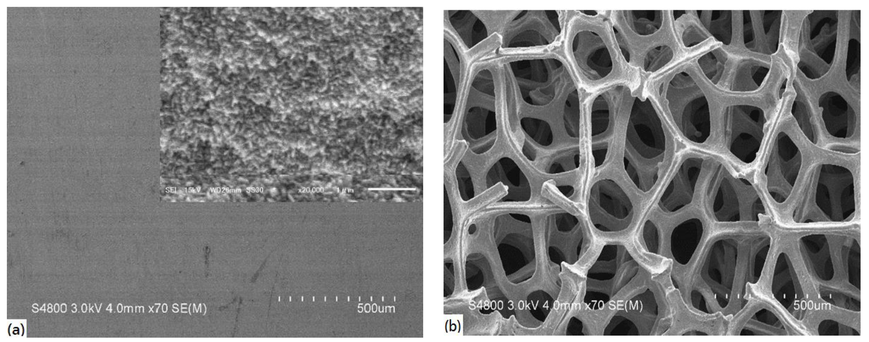 Inorganics 12 00057 g001