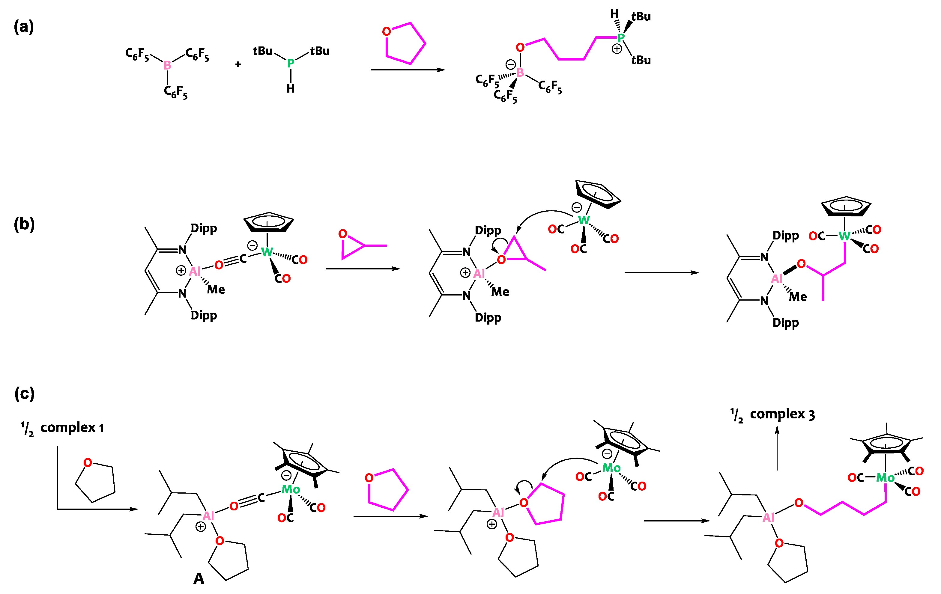 Inorganics 12 00072 sch005