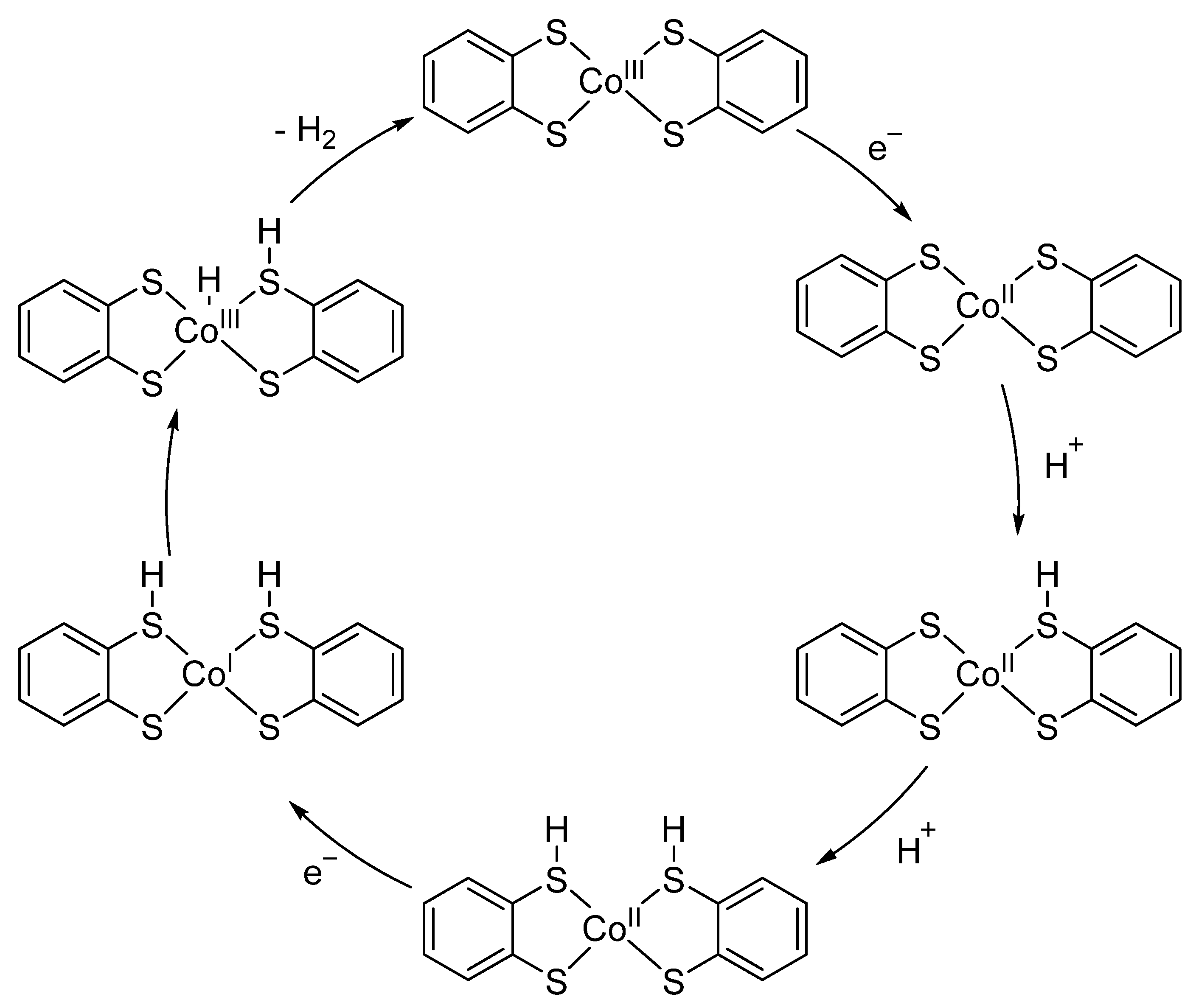 Inorganics 12 00075 sch002