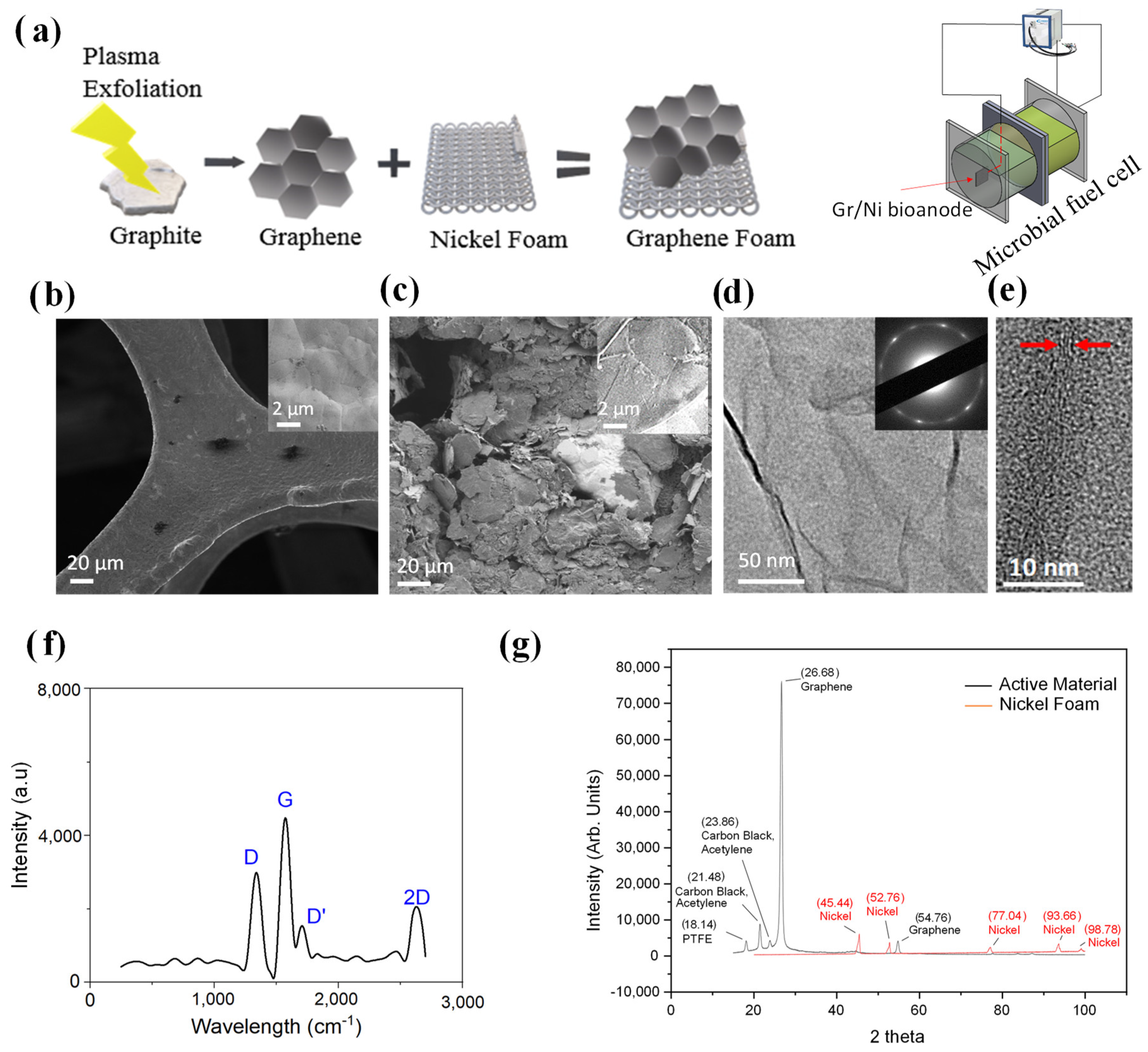 Inorganics 12 00084 g001