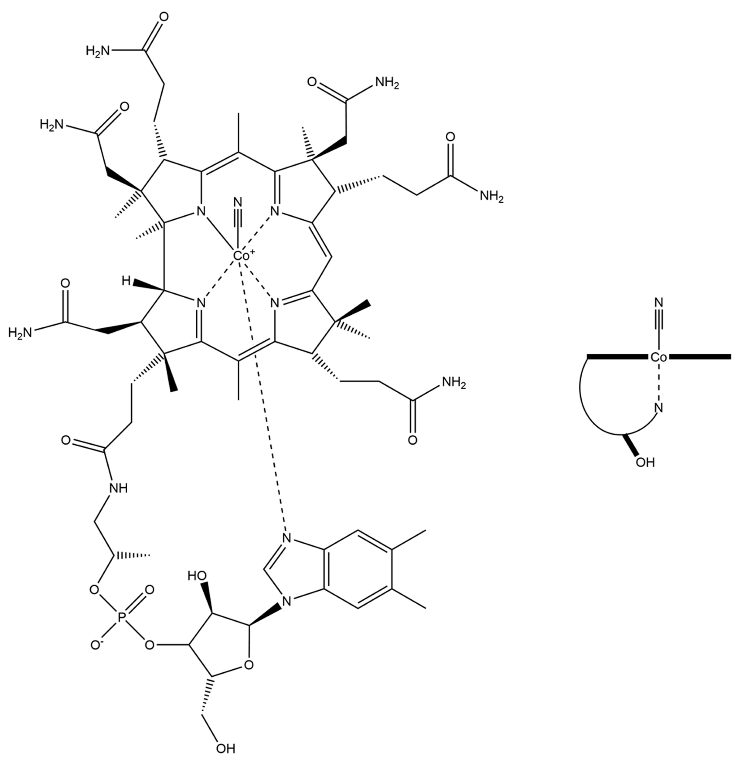 Inorganics 12 00091 g001