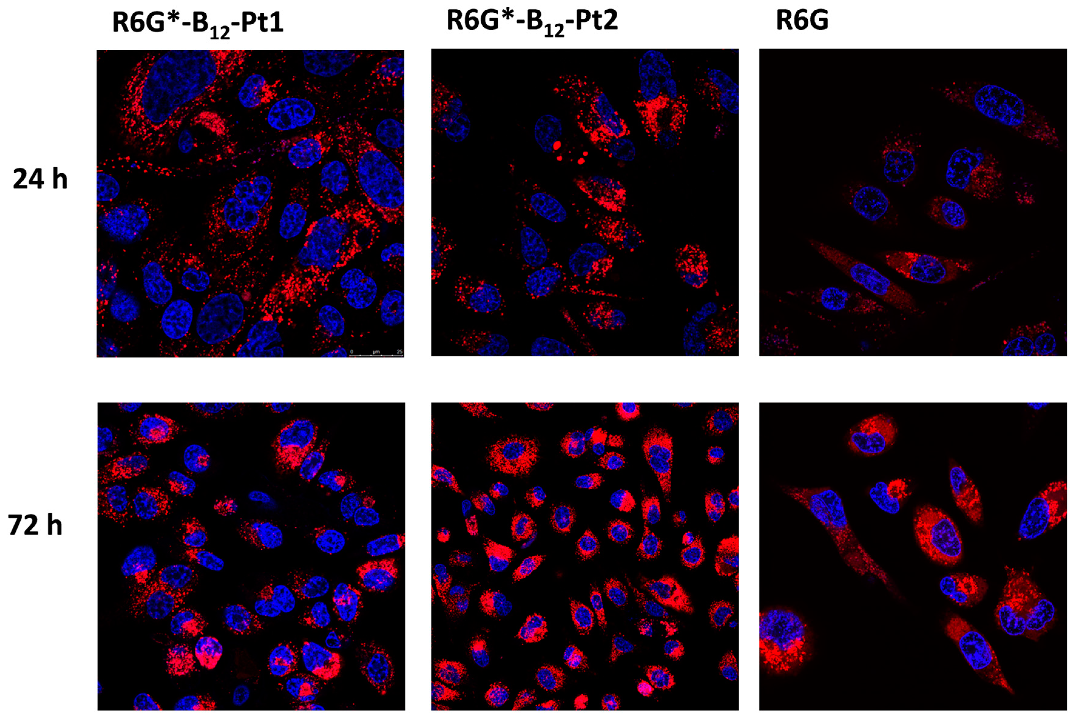 Inorganics 12 00091 g009