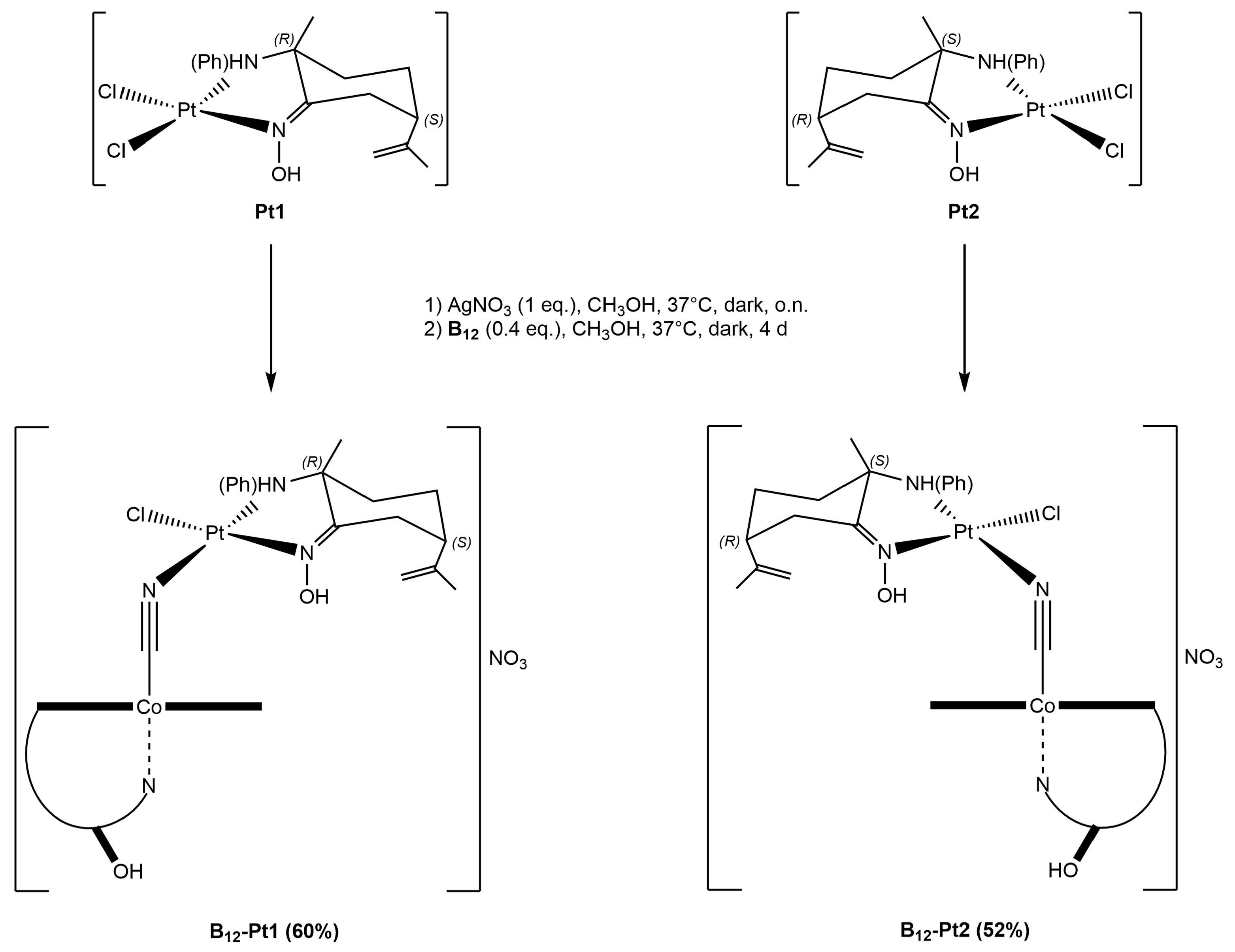 Inorganics 12 00091 sch004