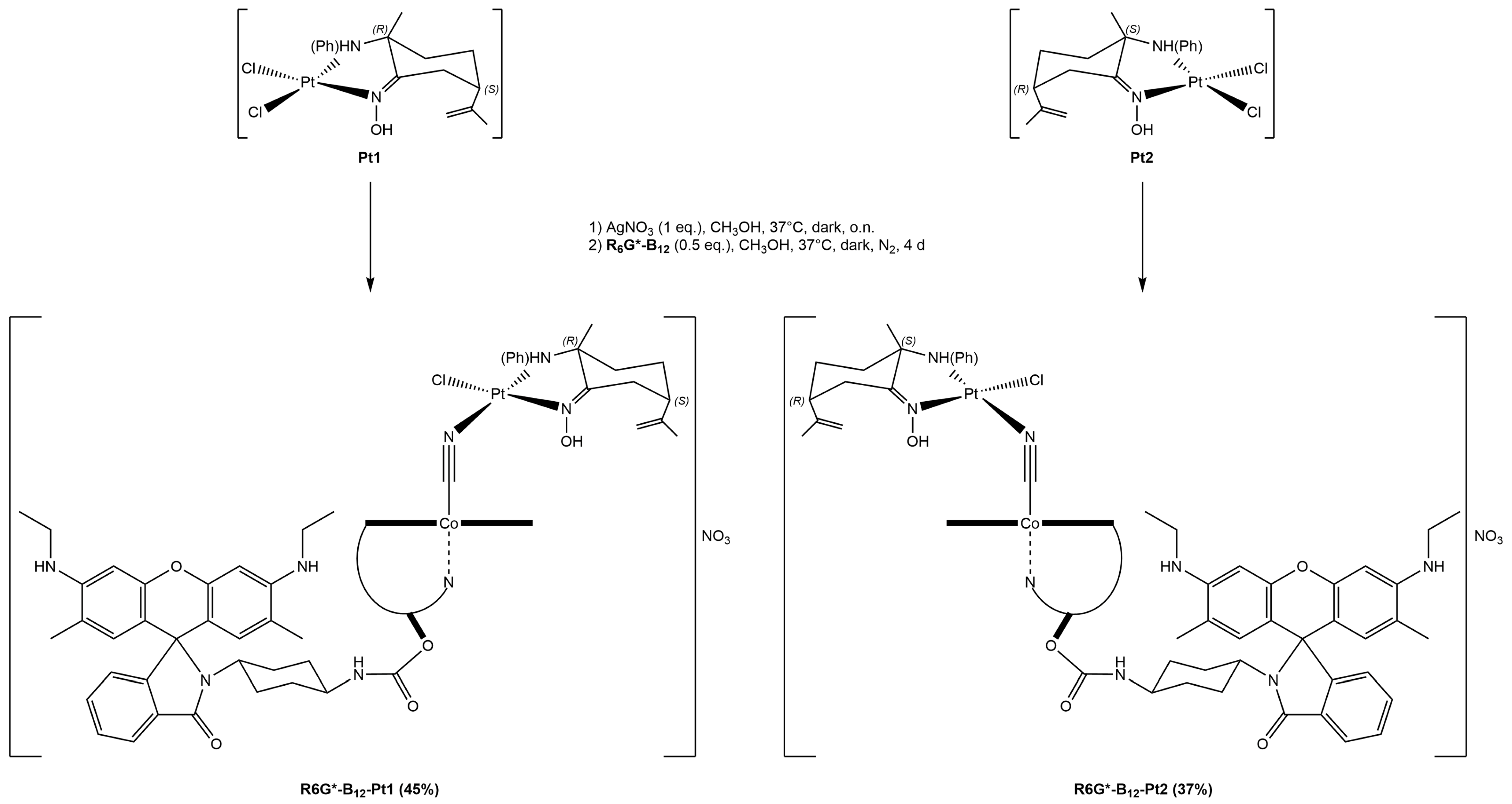 Inorganics 12 00091 sch005