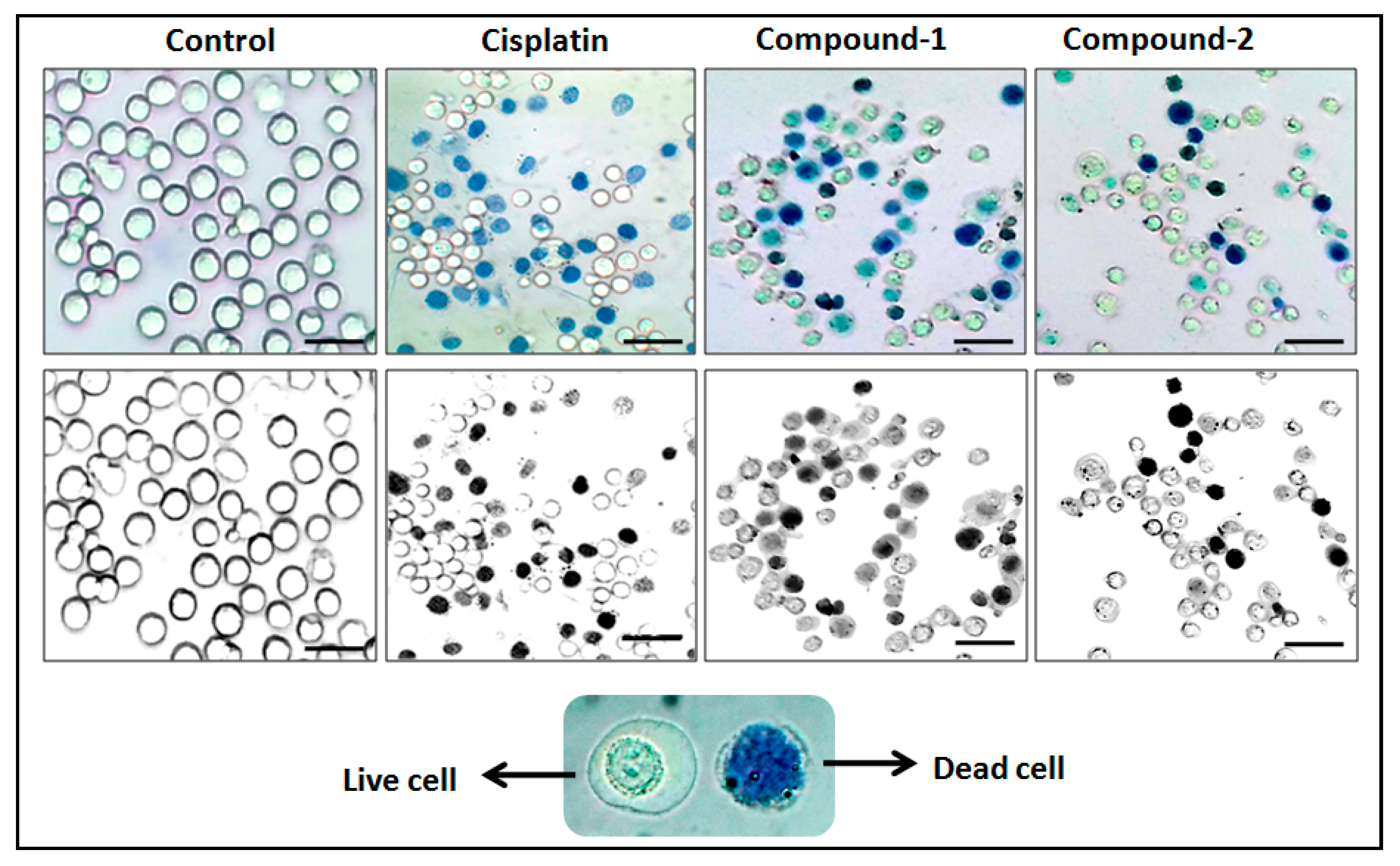 Inorganics 12 00111 g012