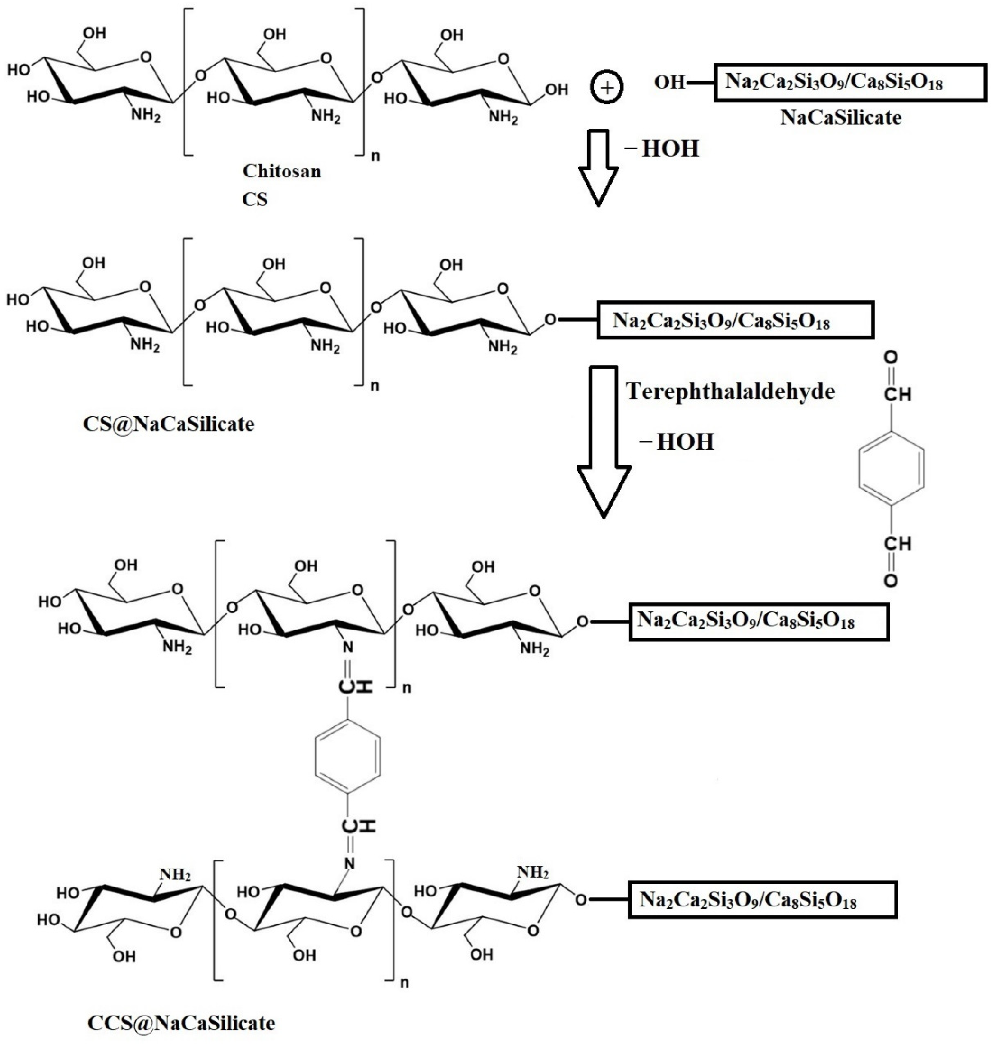 Inorganics 12 00113 sch001