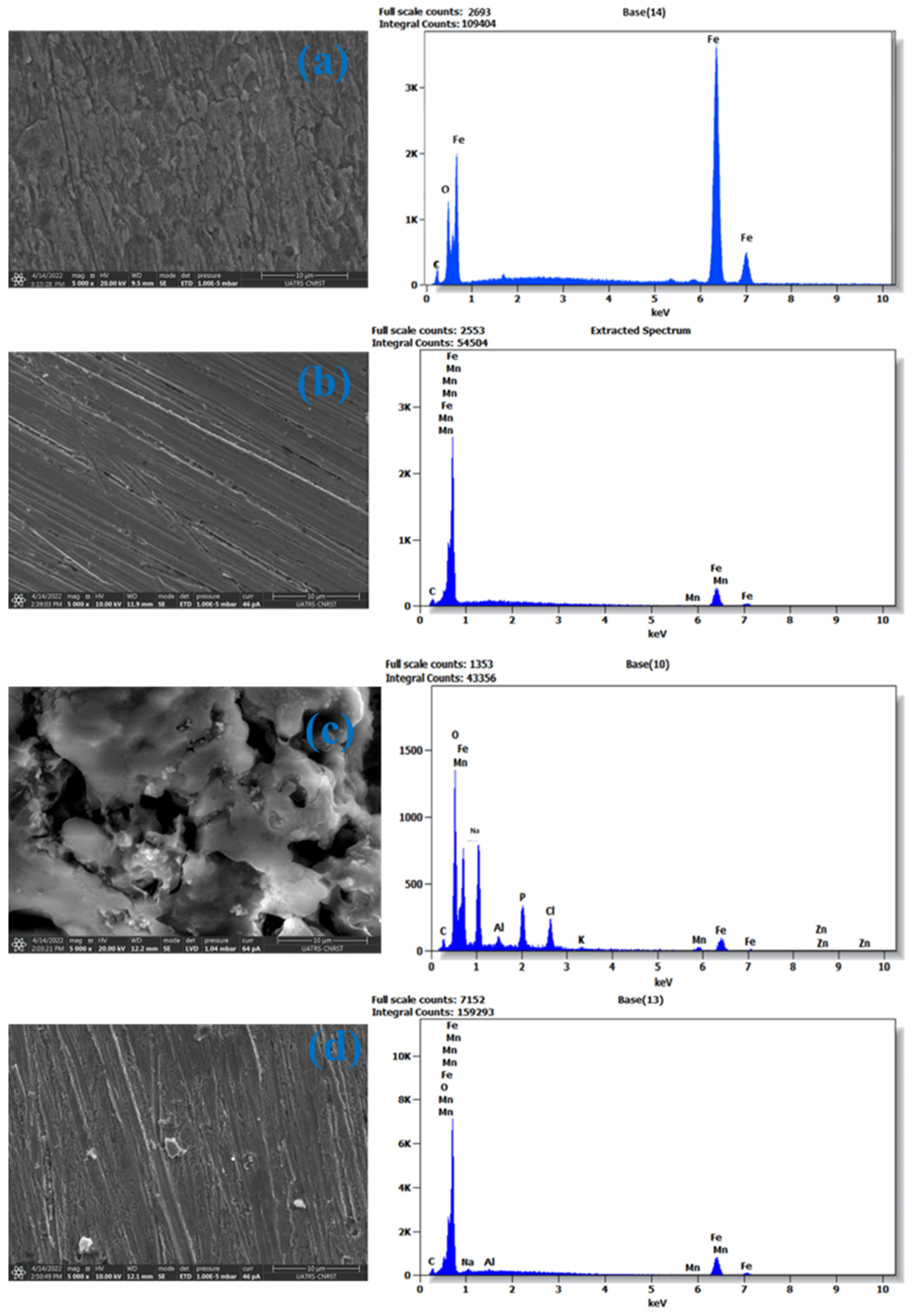 Inorganics 12 00116 g010