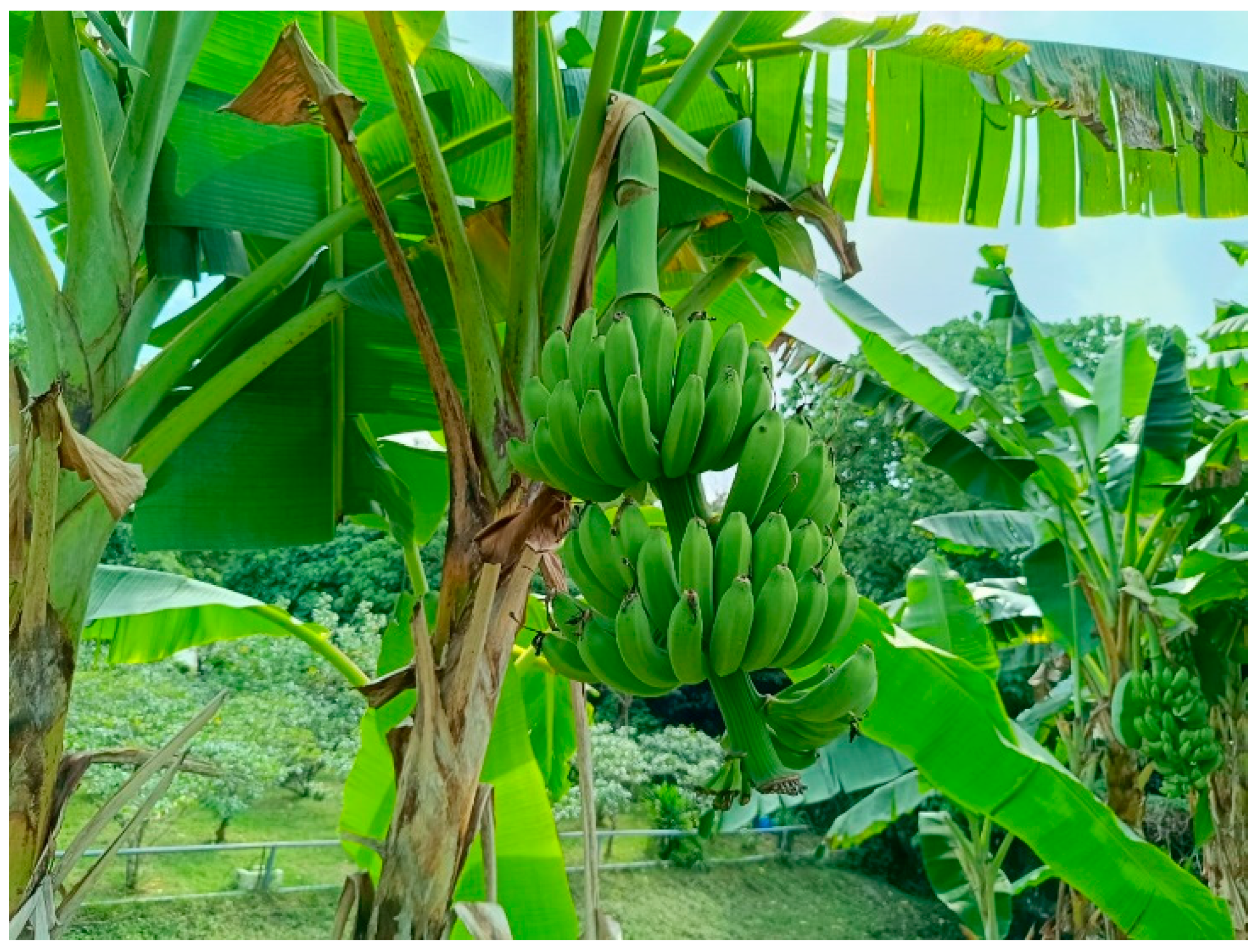 Inorganics 12 00121 g002