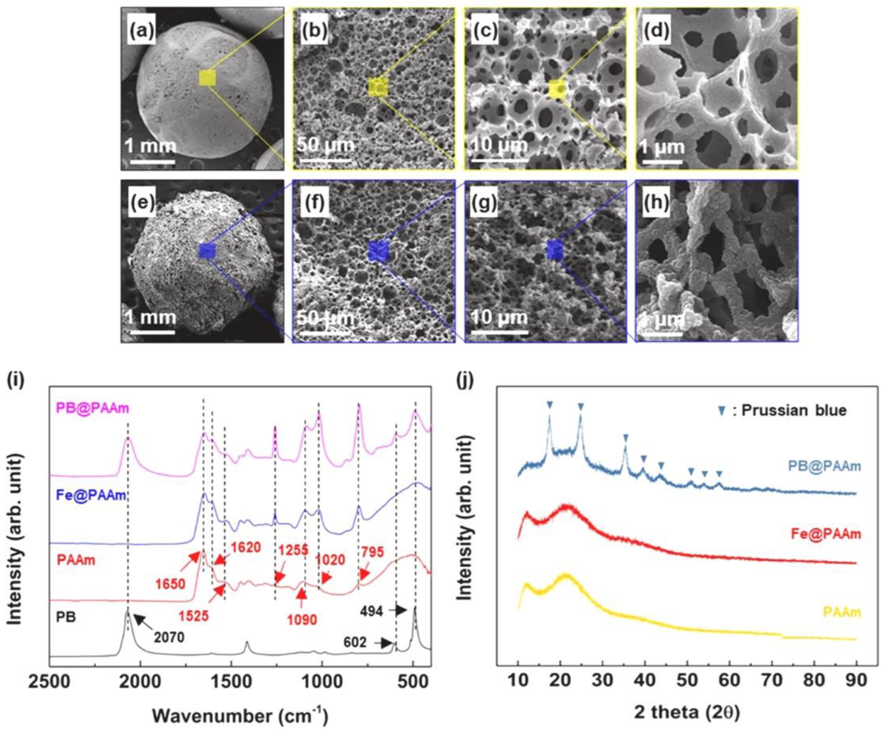 Inorganics 12 00124 g003