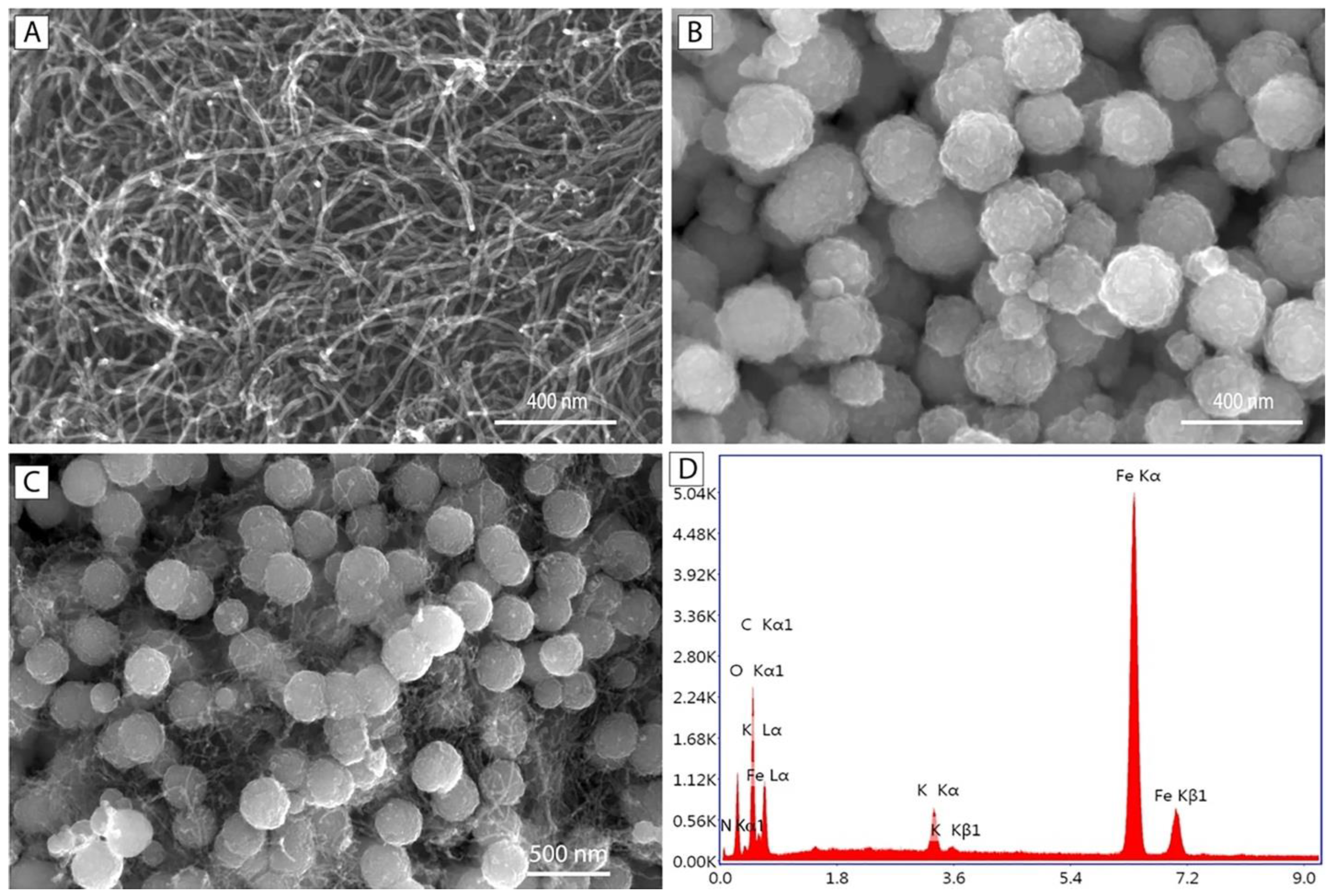 Inorganics 12 00124 g012