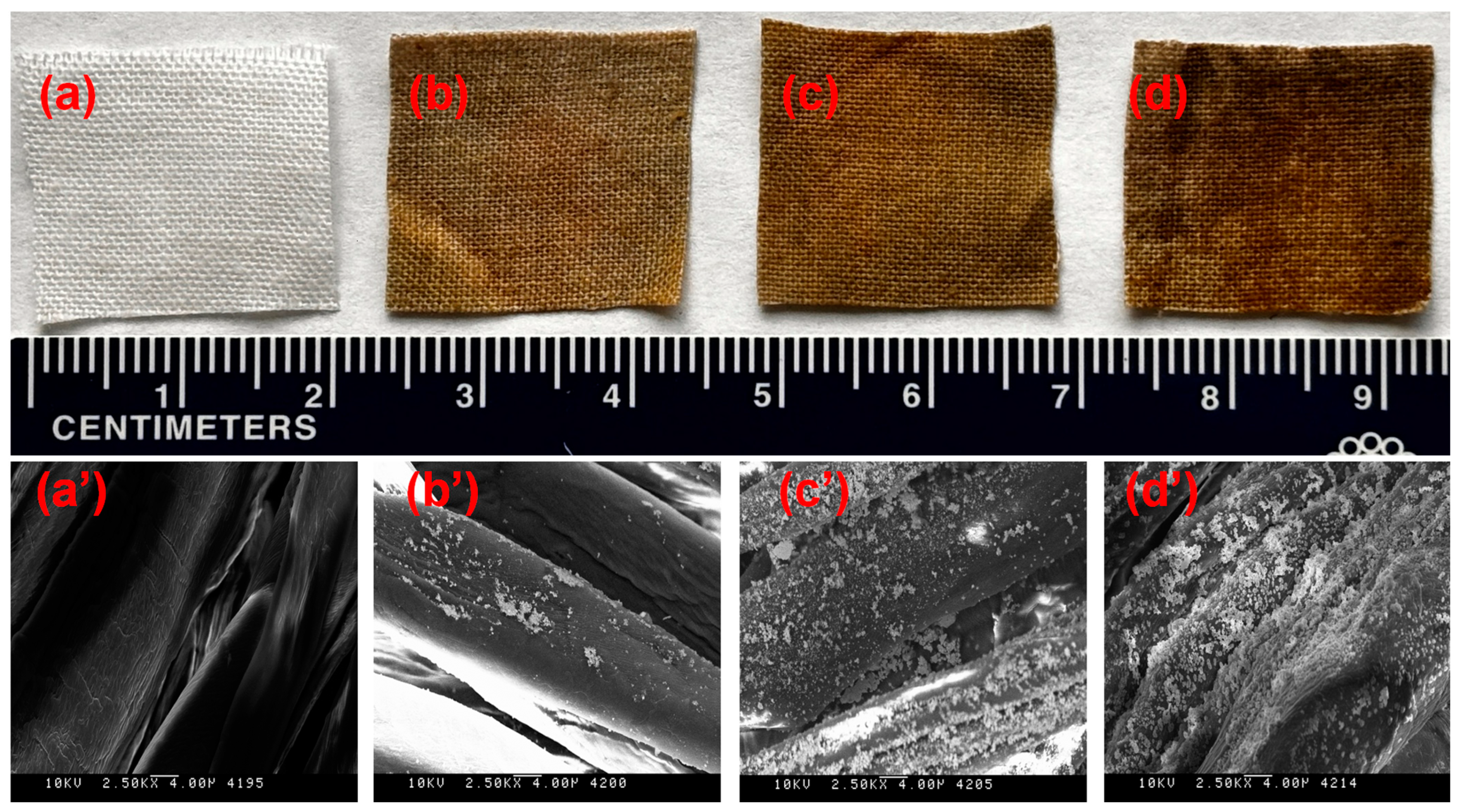 Inorganics 12 00170 g001