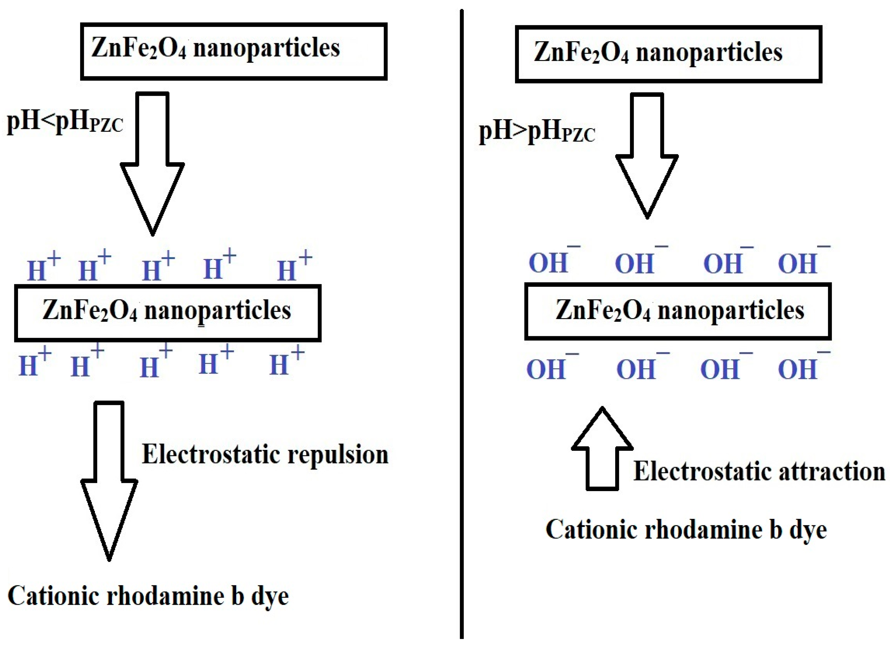Inorganics 12 00191 sch002