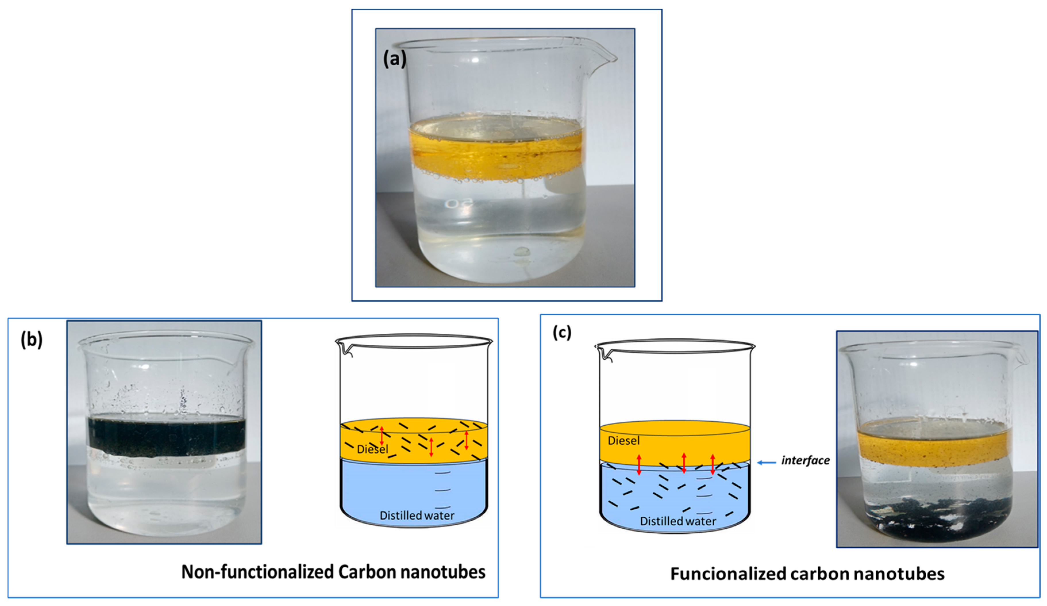 Inorganics 12 00238 g014