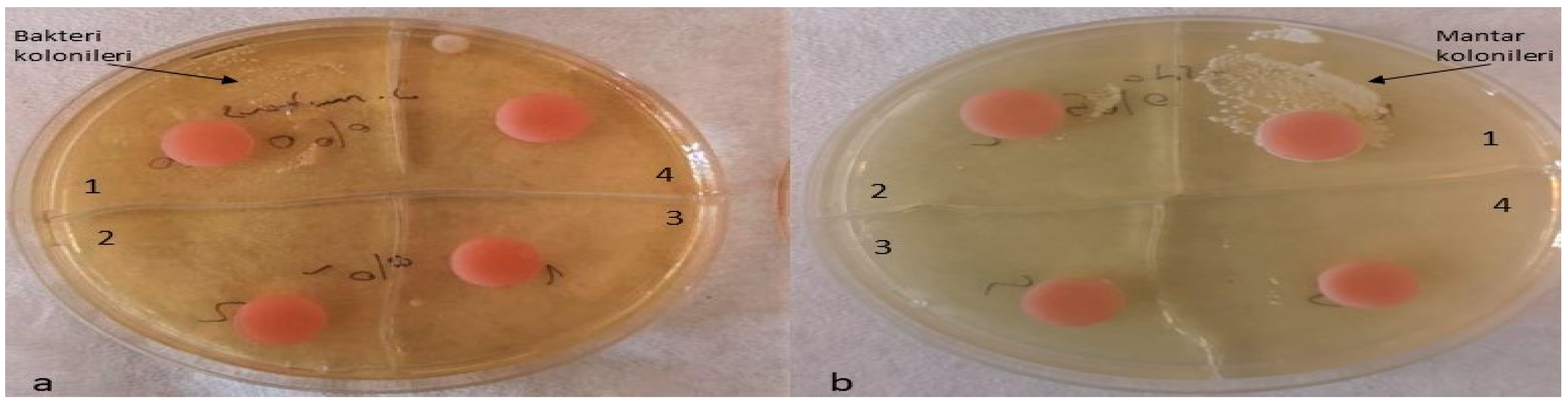Inorganics 12 00258 g011