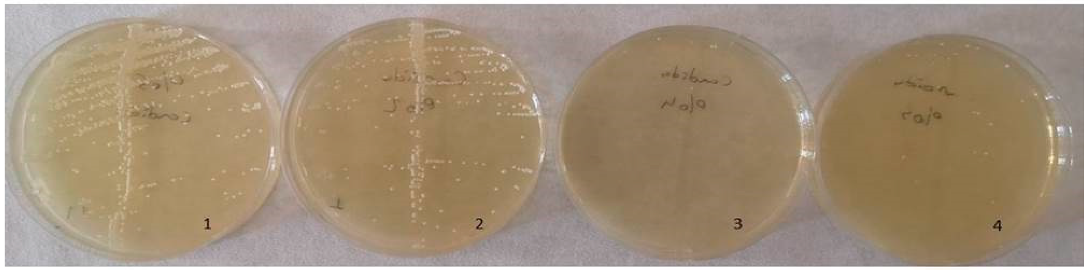 Inorganics 12 00258 g012