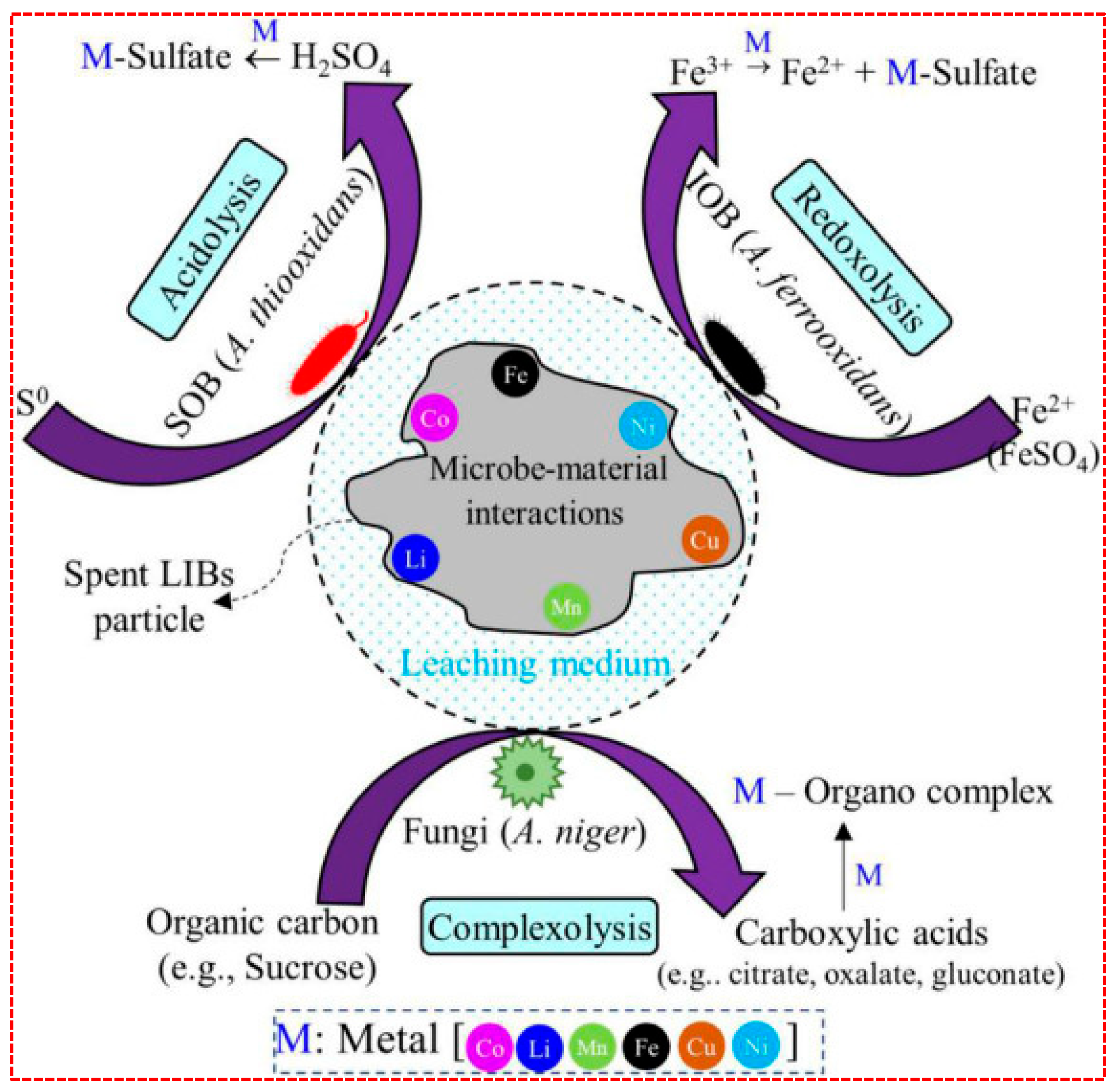 Inorganics 13 00004 g005