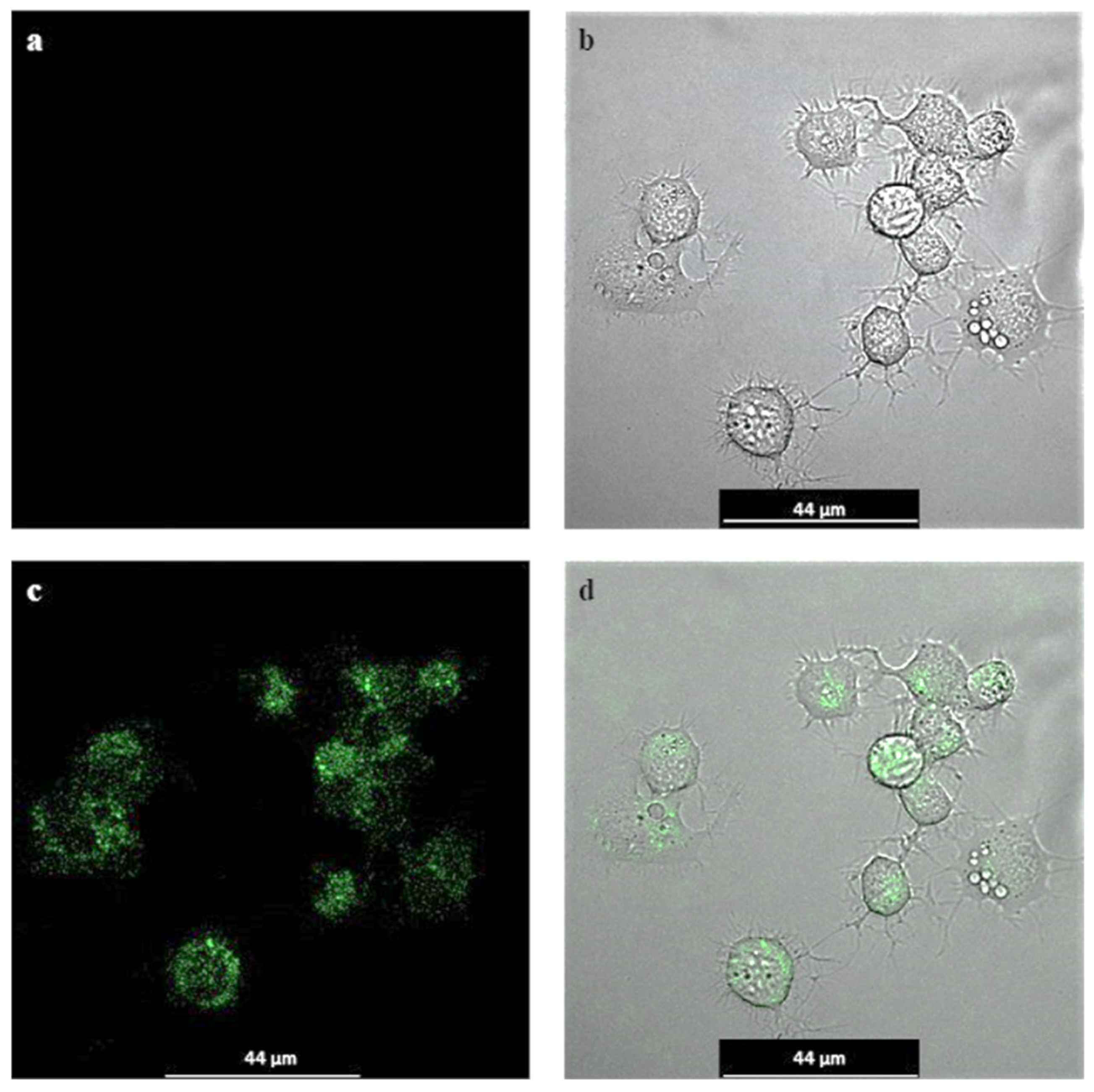Inorganics 13 00005 g013