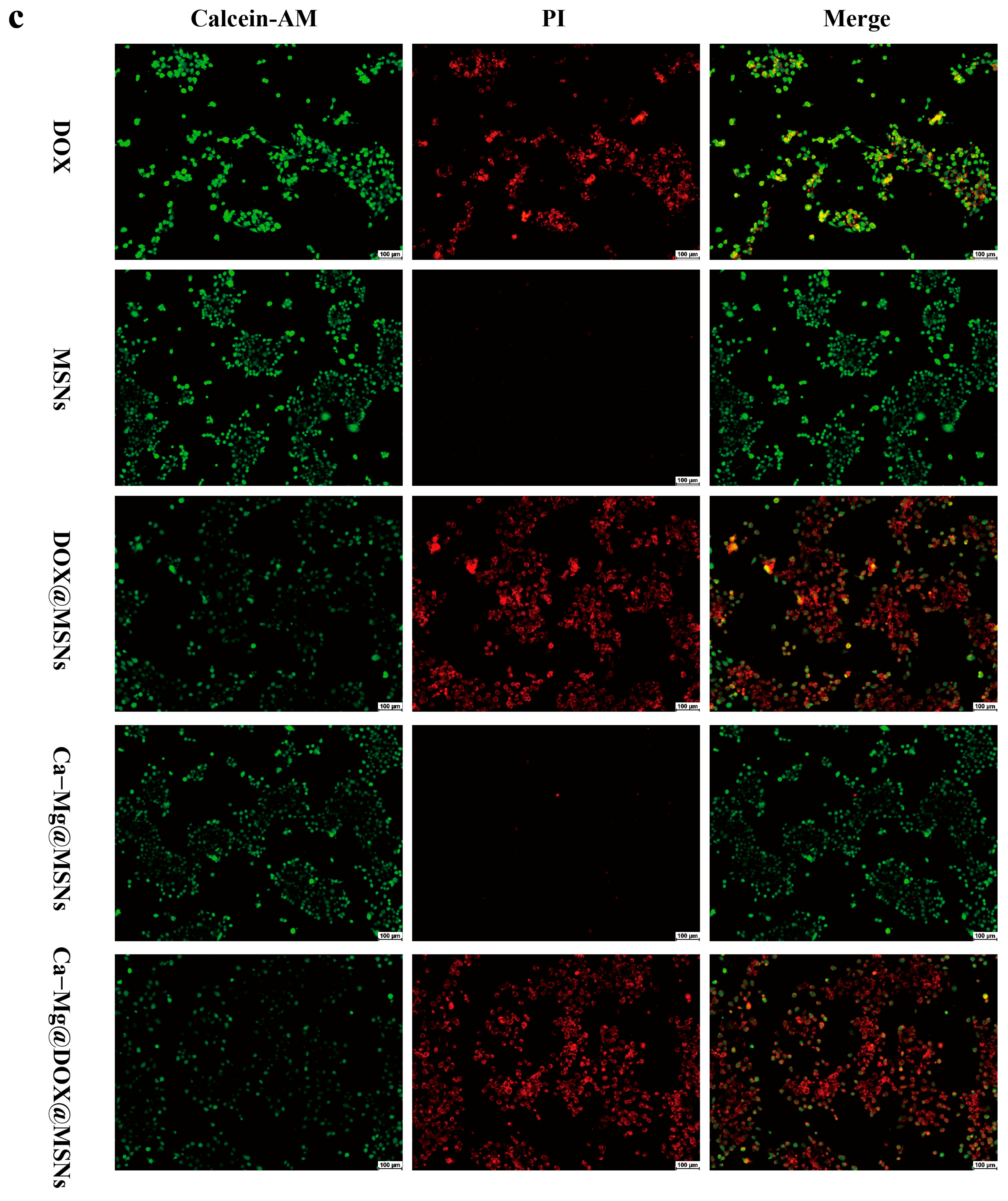 Inorganics 13 00012 g005b