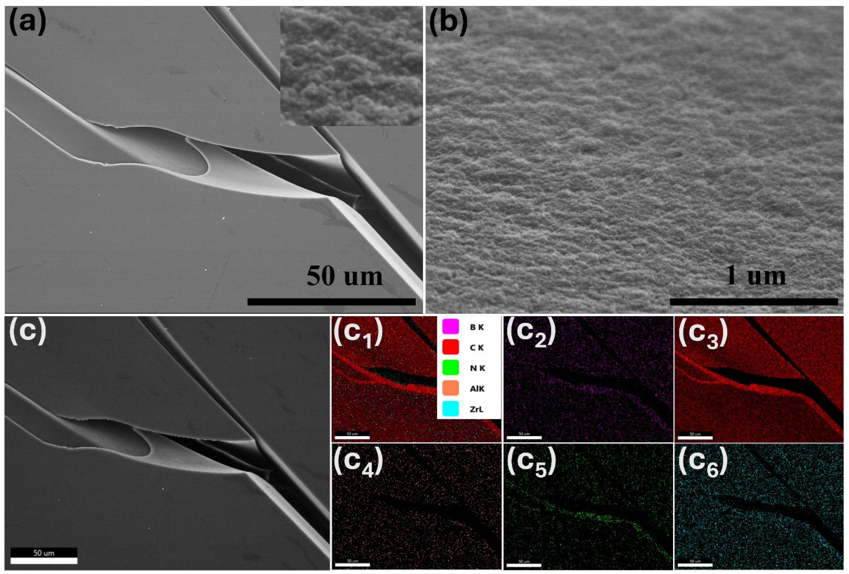 Inorganics 13 00016 g004