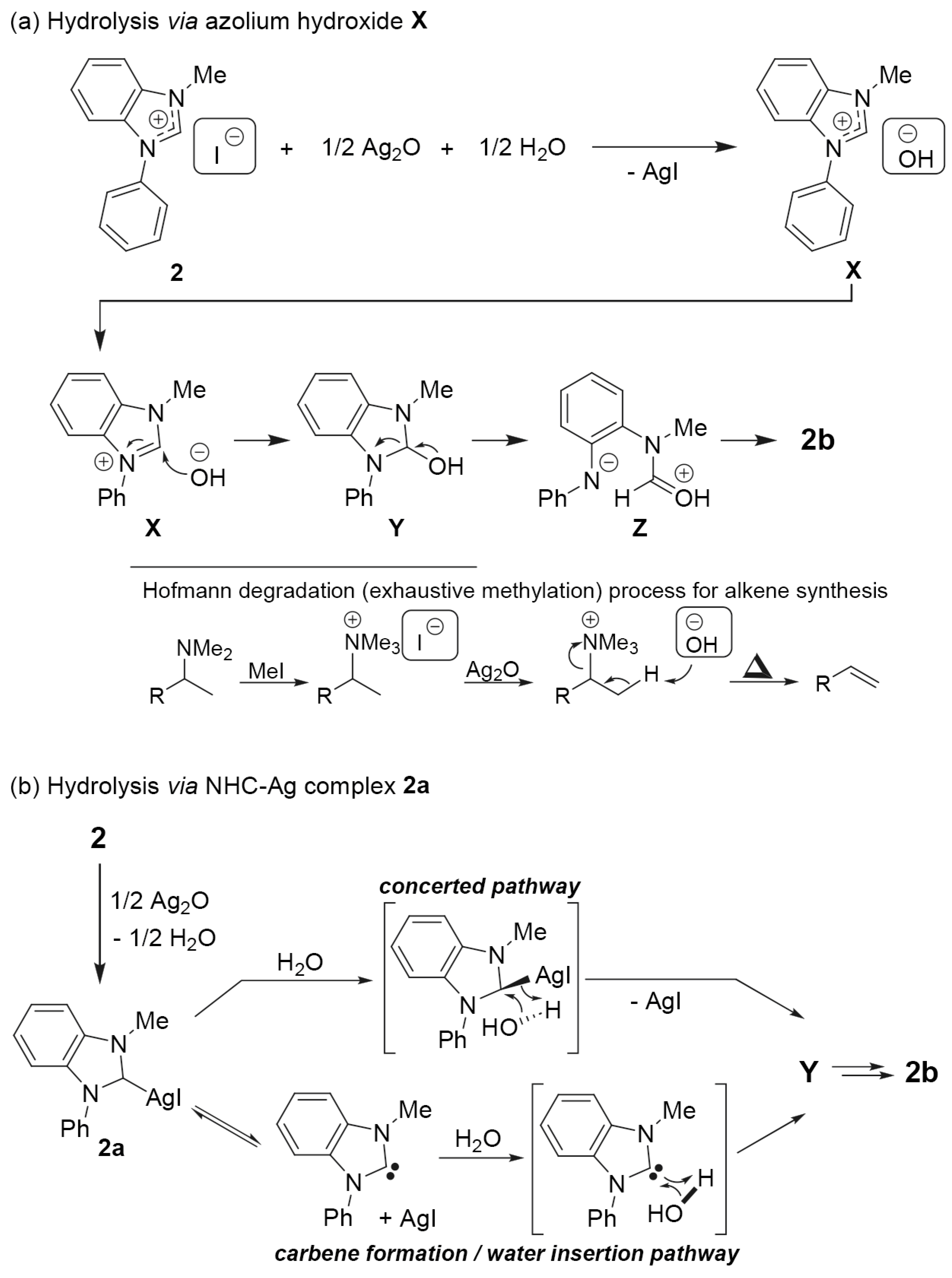 Inorganics 13 00018 sch003