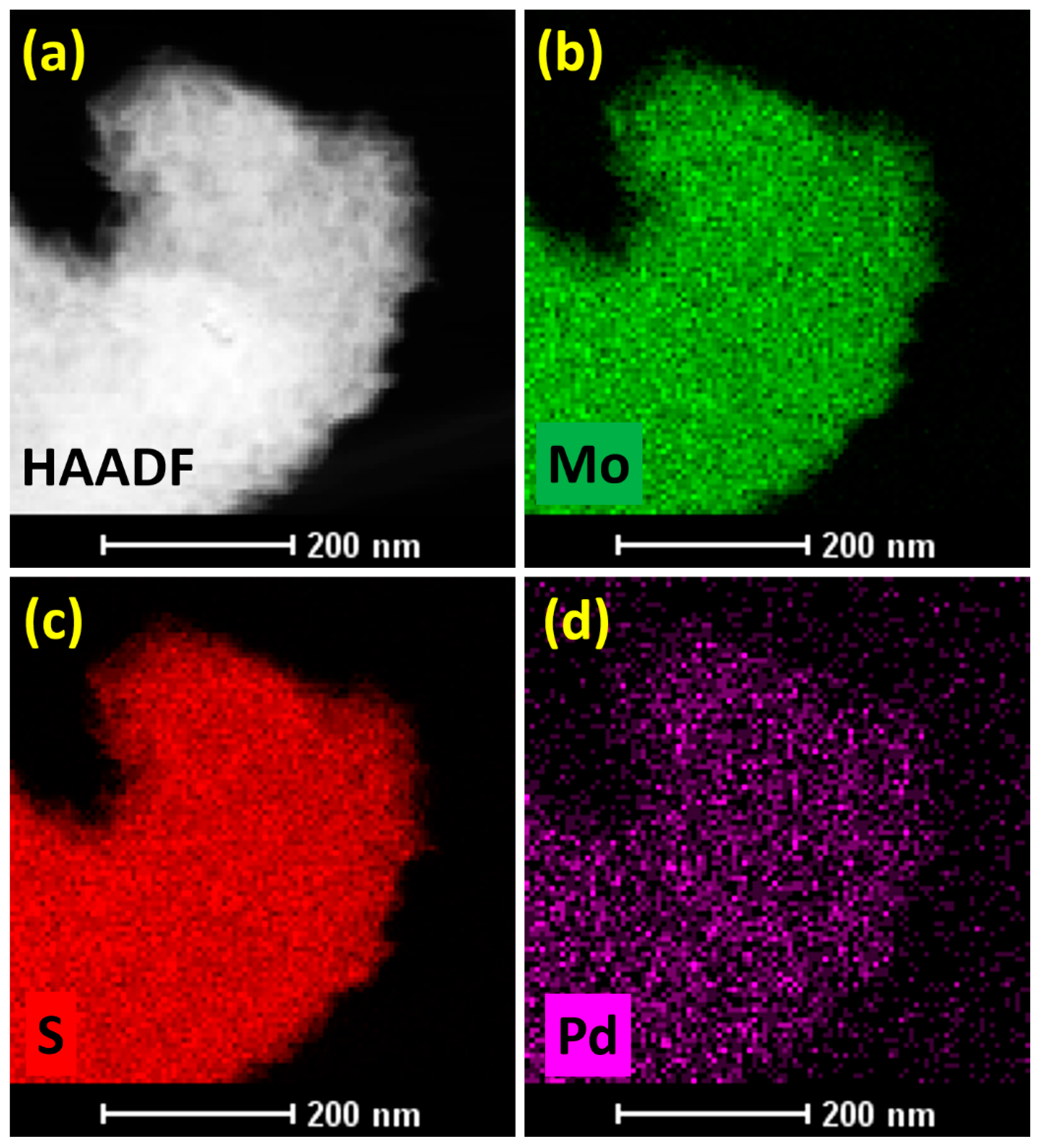 Inorganics 13 00021 g005