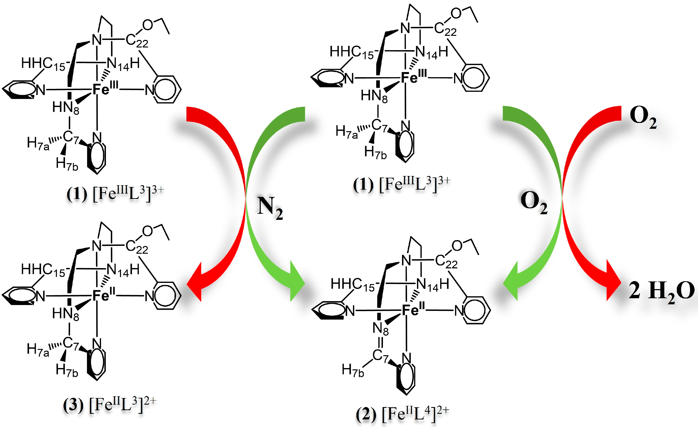 Inorganics 13 00022 g001