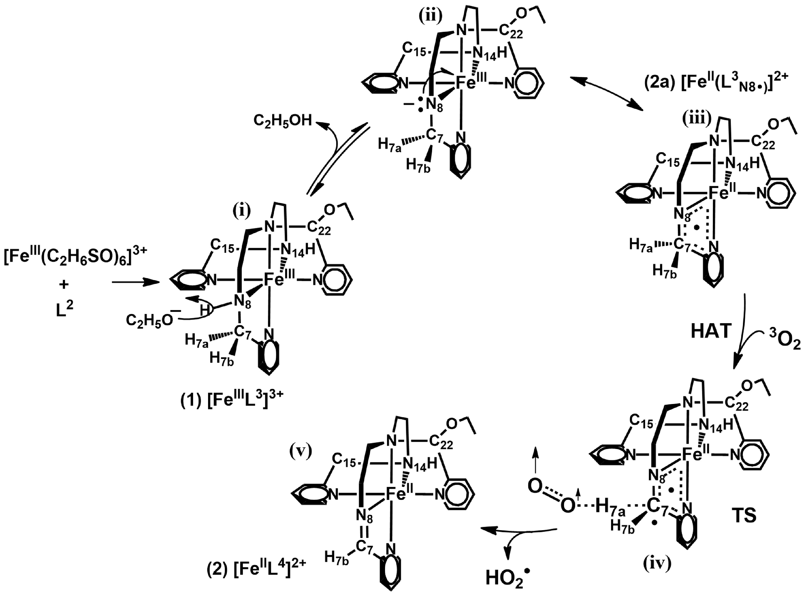 Inorganics 13 00022 g002