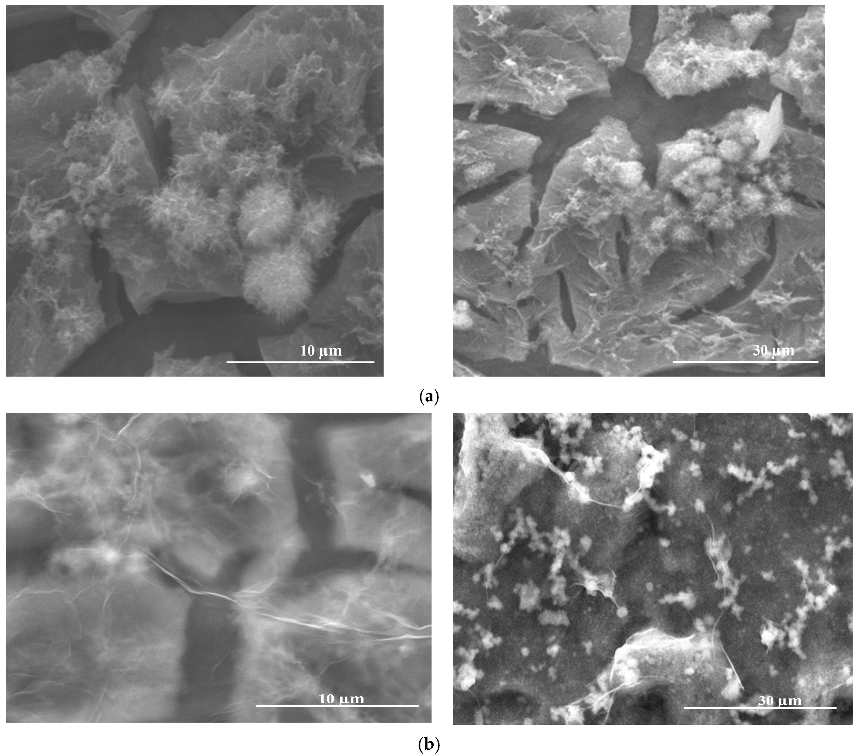 Inorganics 13 00031 g003