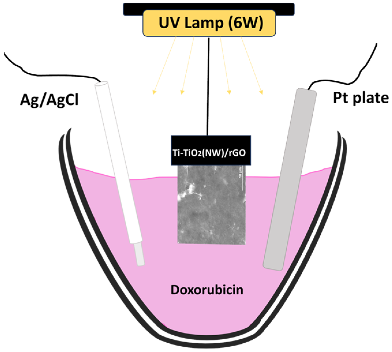 Inorganics 13 00031 g005