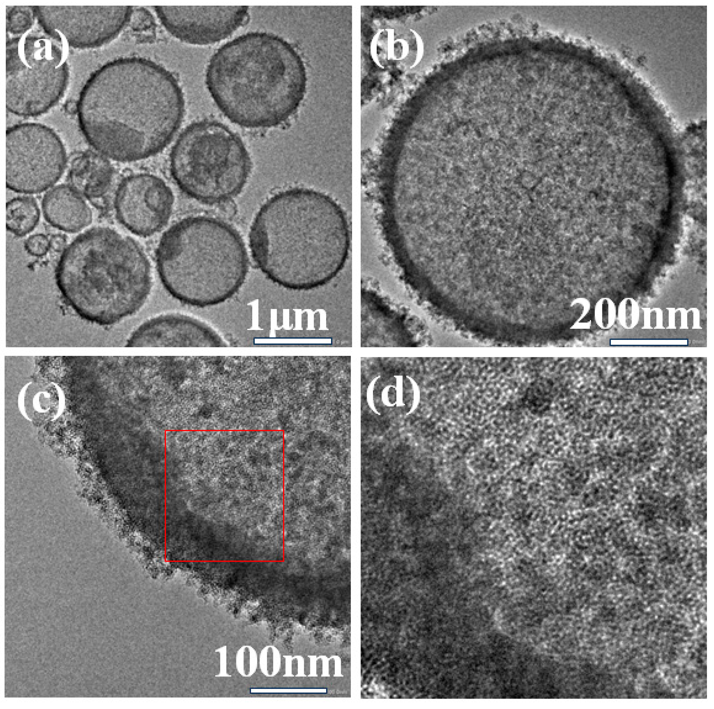 Inorganics 13 00037 g004
