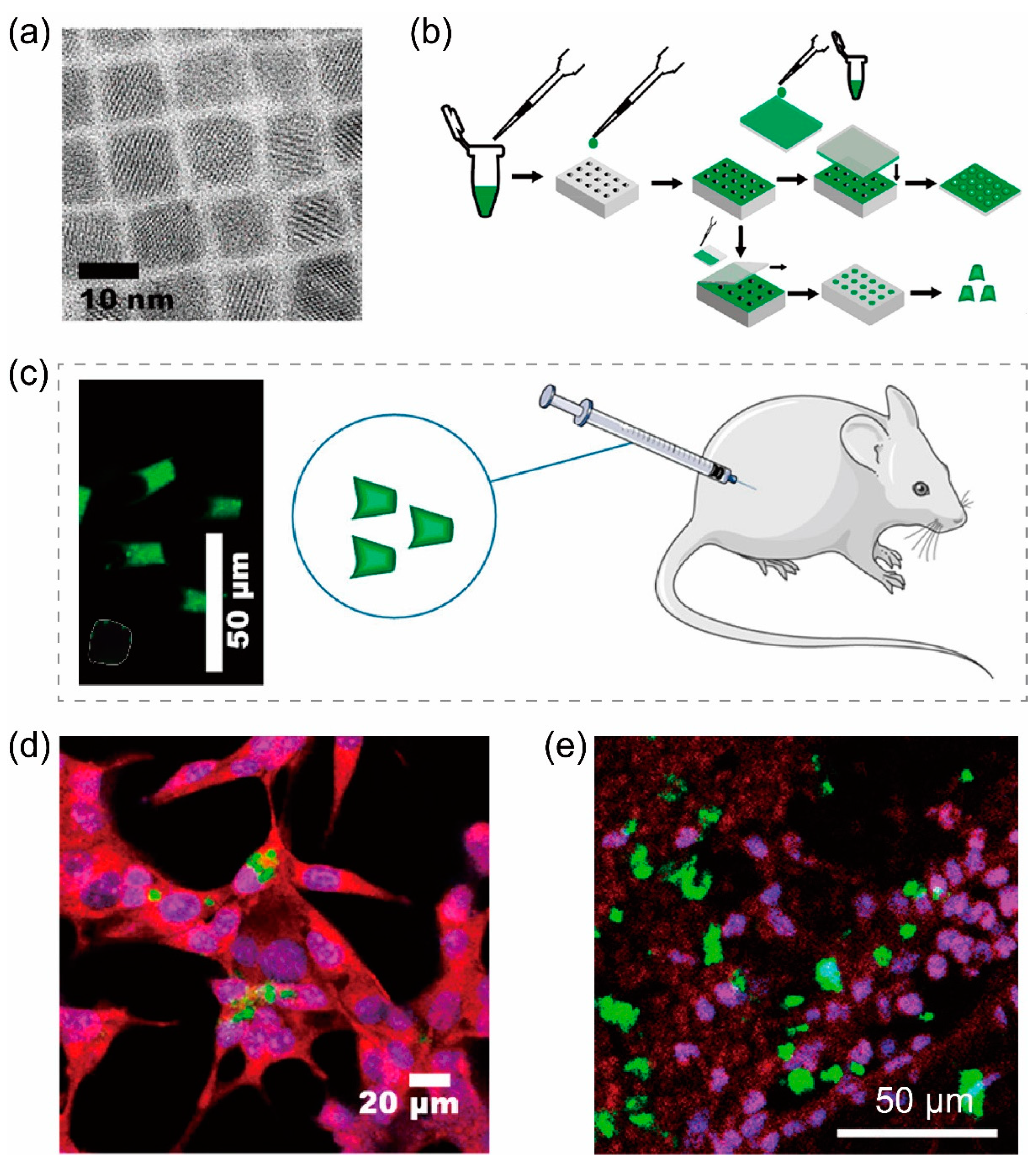 Inorganics 13 00055 g004