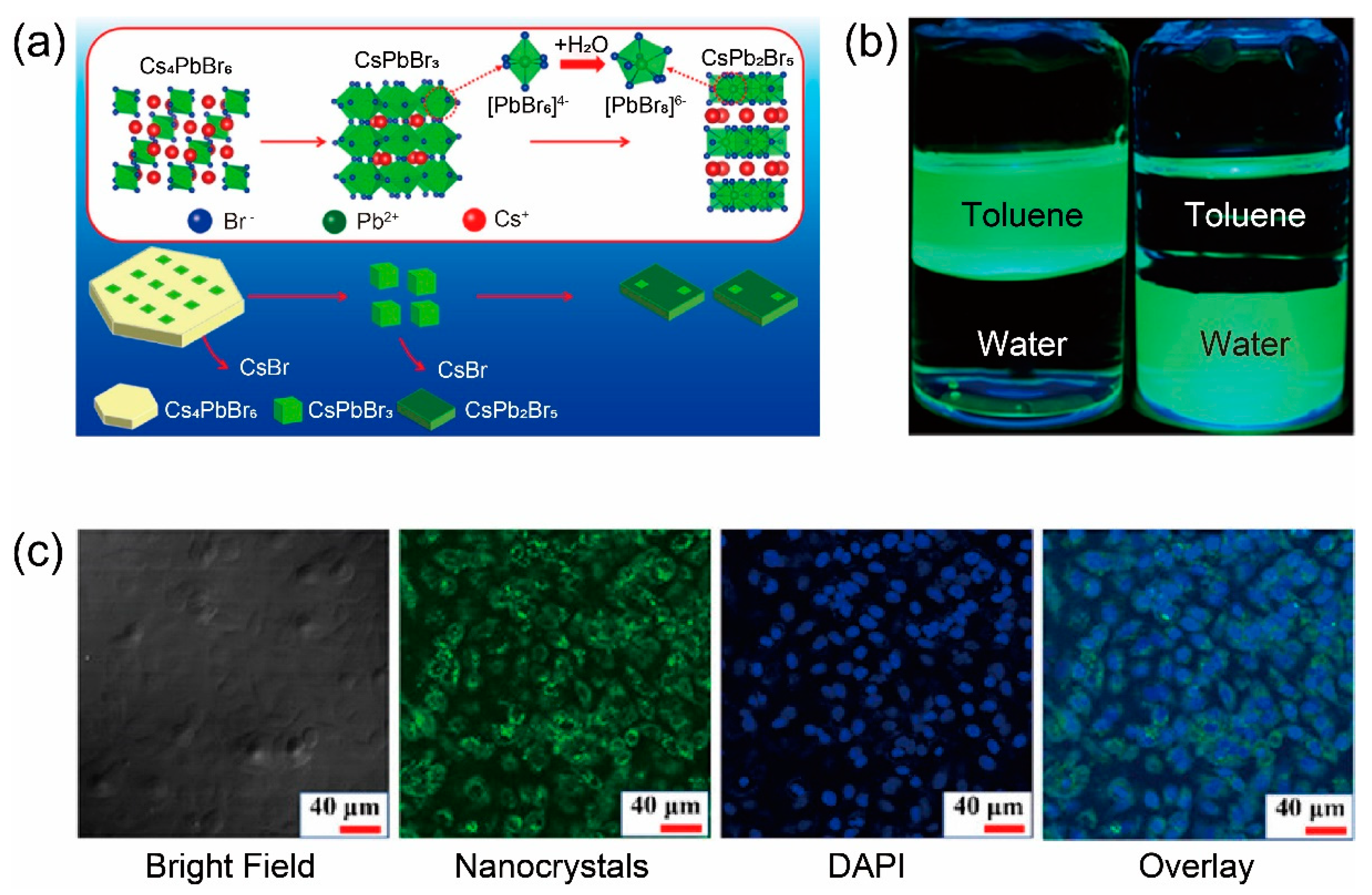 Inorganics 13 00055 g005
