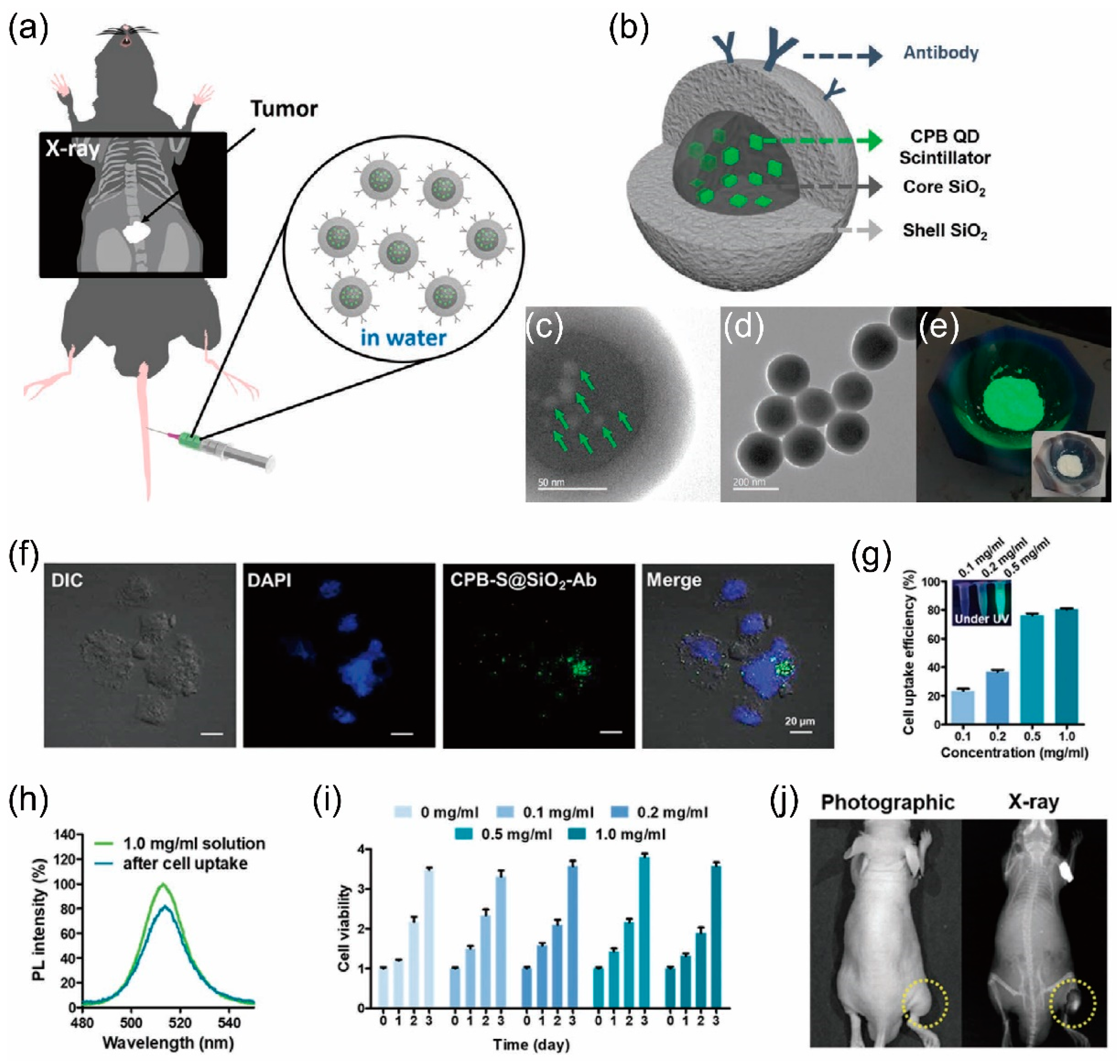 Inorganics 13 00055 g007