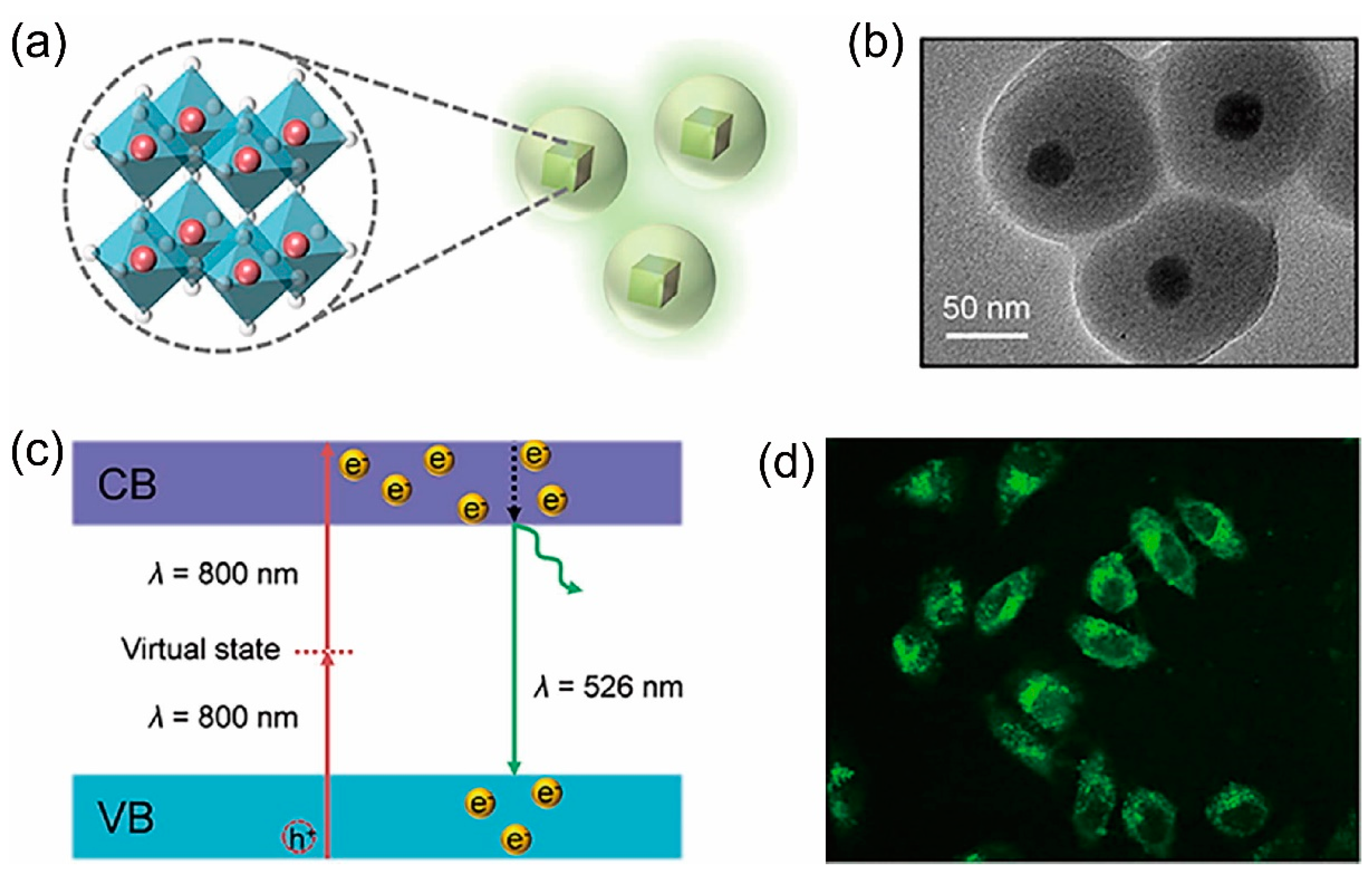 Inorganics 13 00055 g008