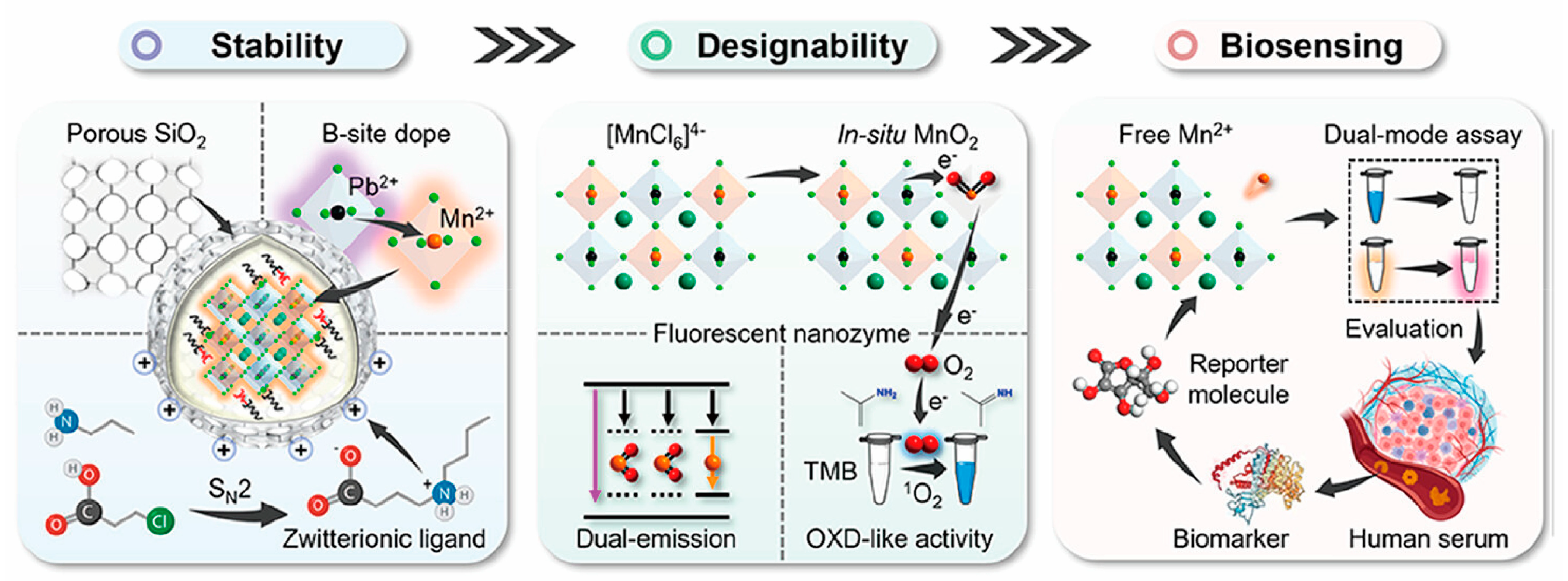 Inorganics 13 00055 g009