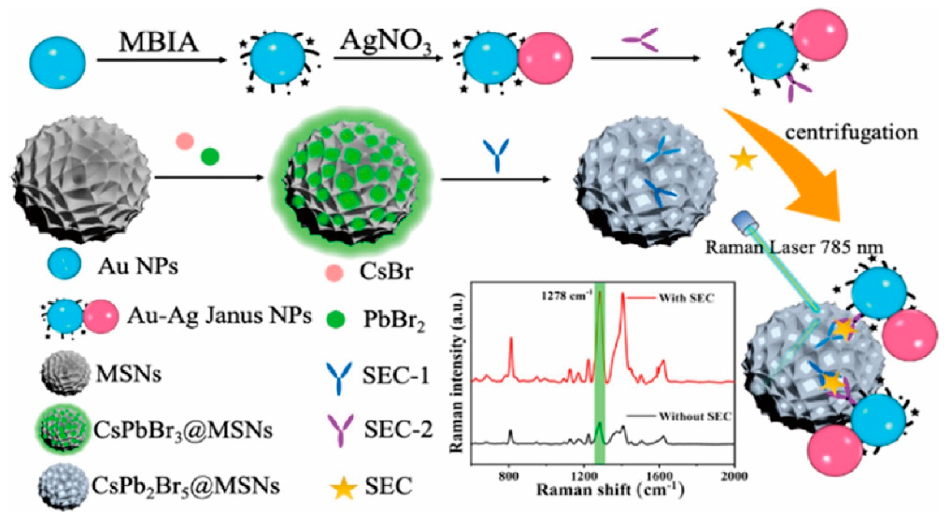 Inorganics 13 00055 g010