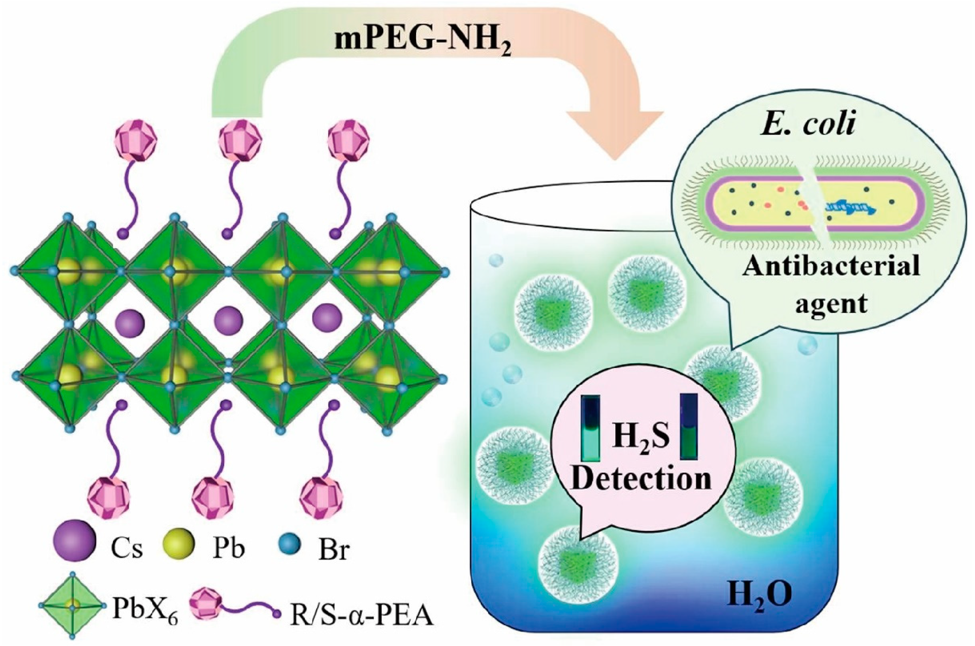 Inorganics 13 00055 g011