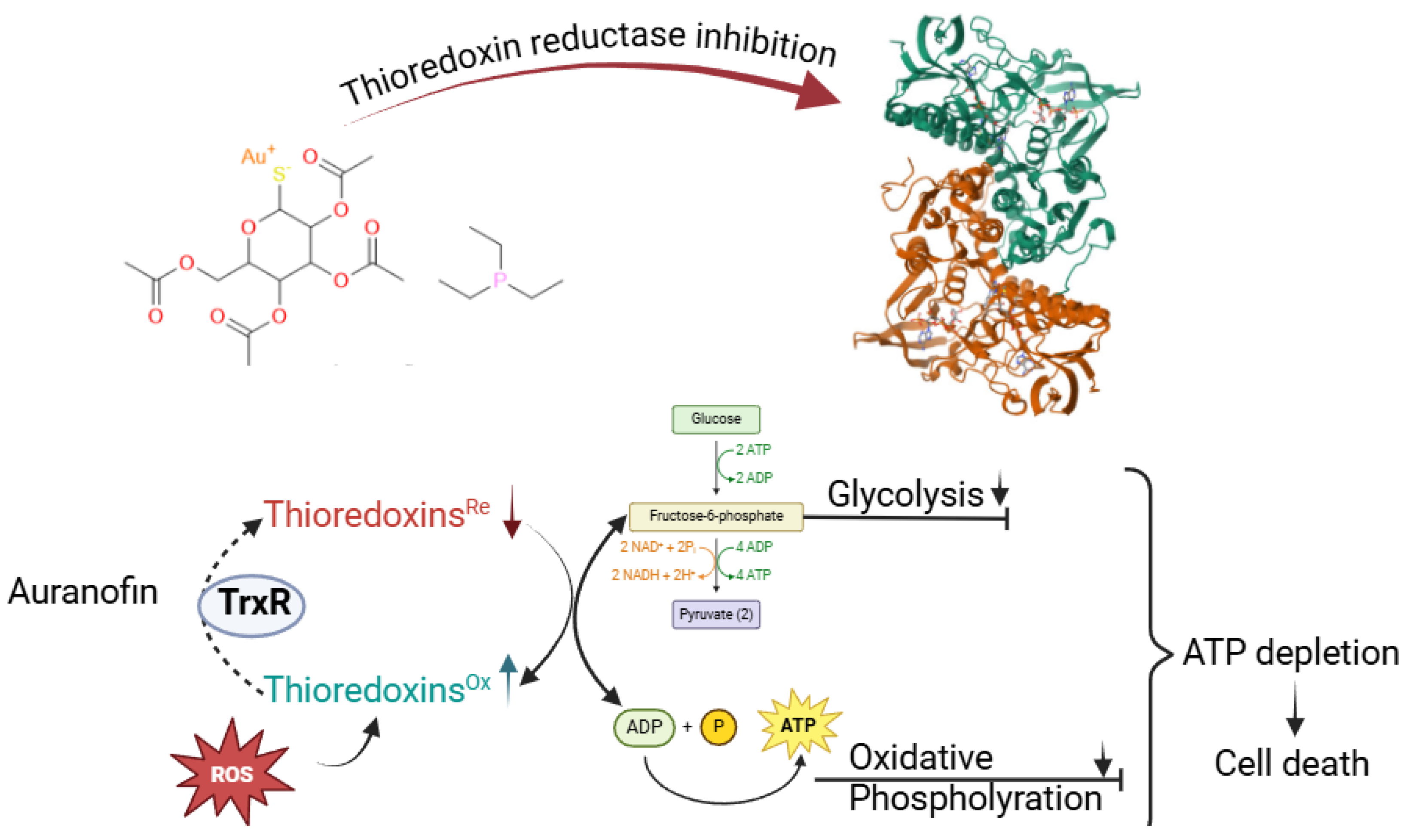 Inorganics 13 00064 g005