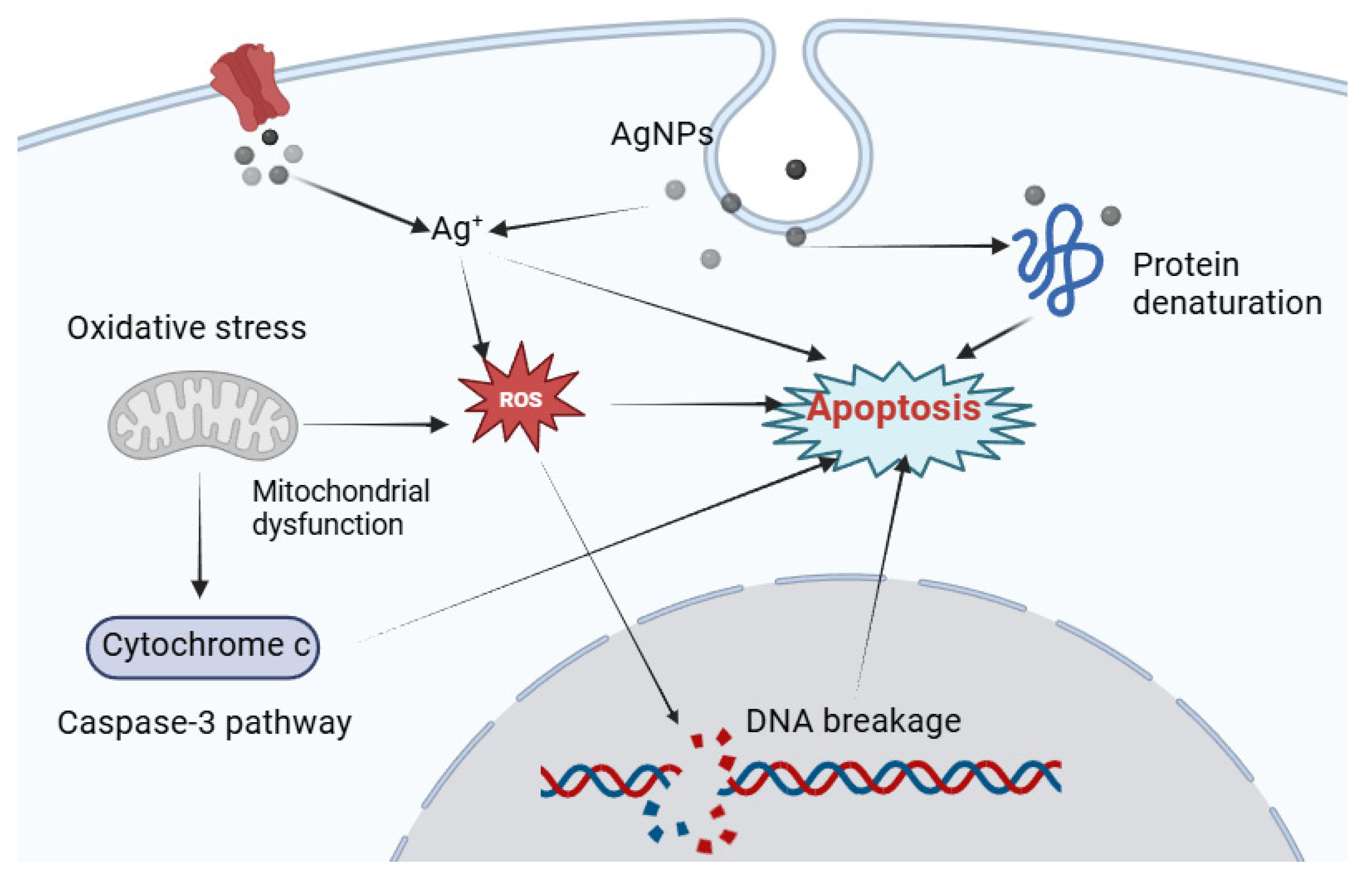 Inorganics 13 00064 g007